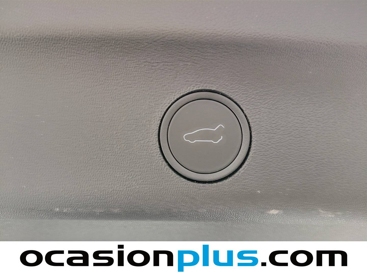 Tesla Model Y Tesla Model Y Tracción Trasera RWD (256 CV) al mejor precio