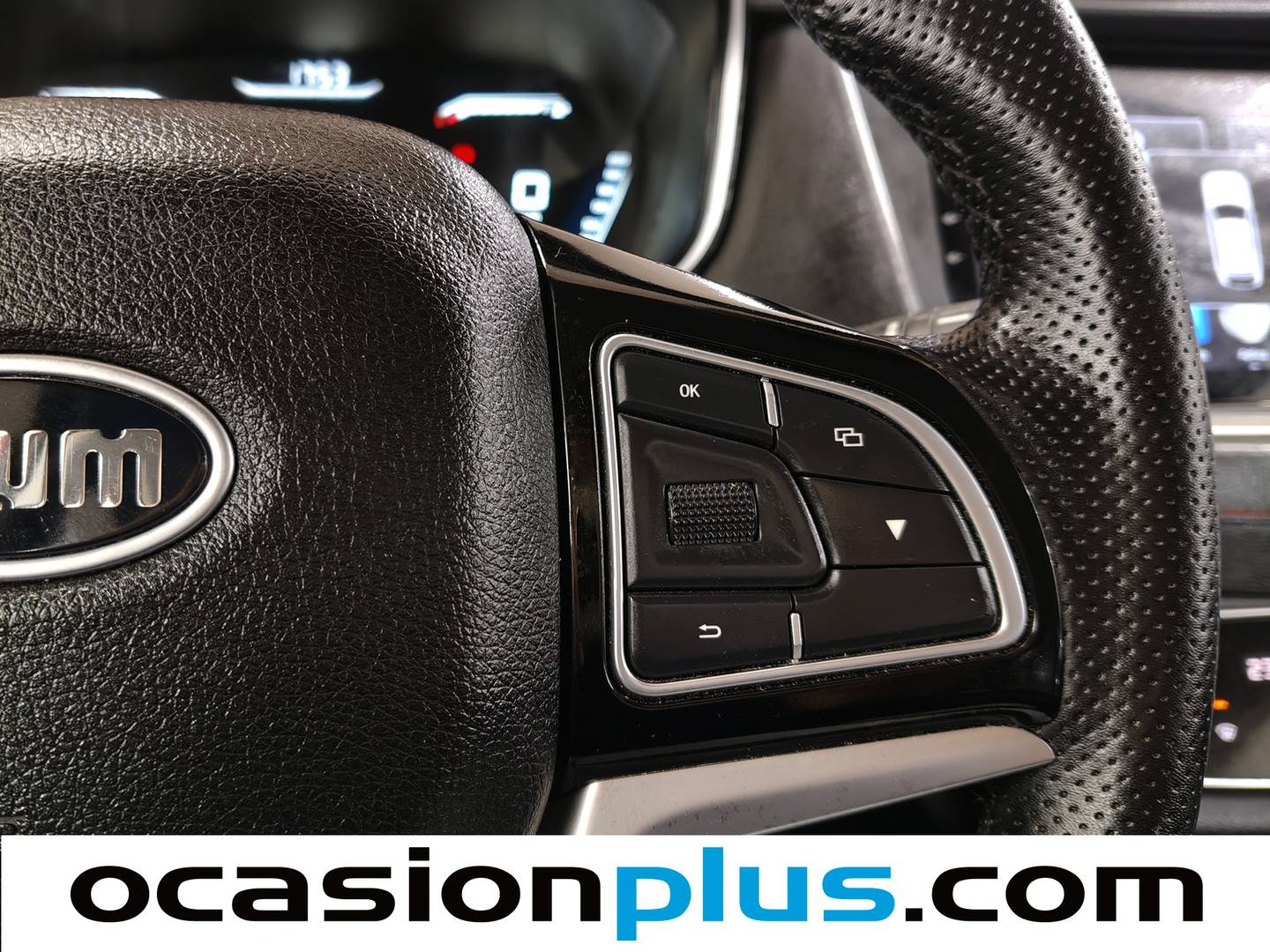 SWM G01 SWM G01 1.5T Luxury (131 CV) barato