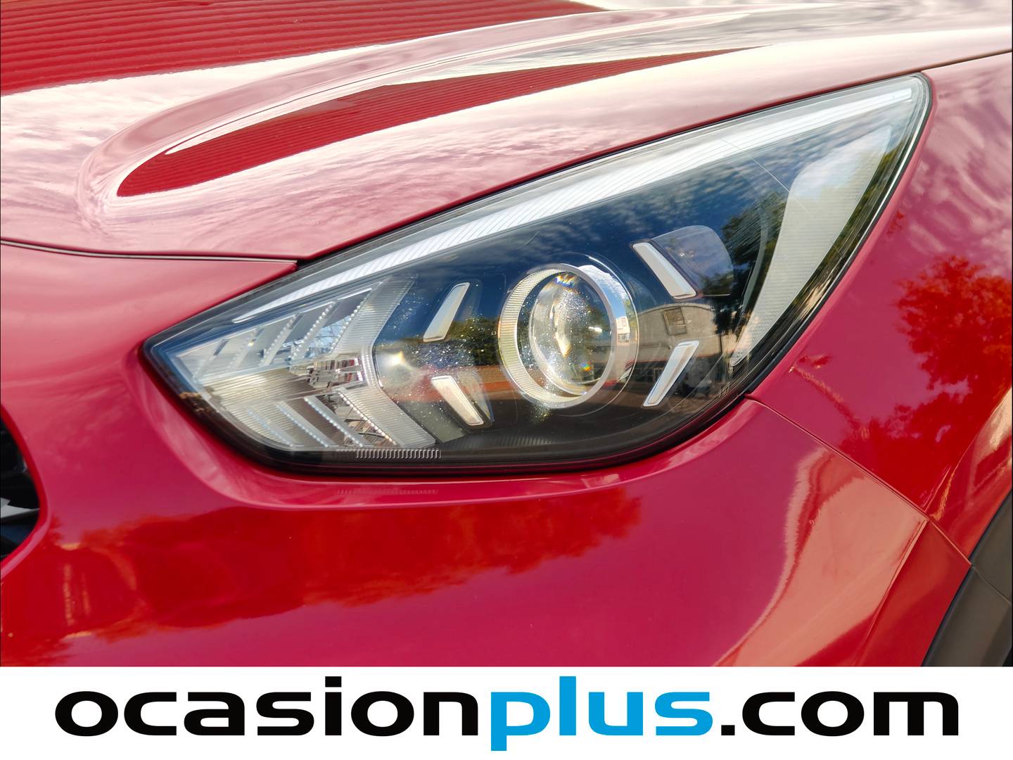 KIA Niro KIA Niro 1.6 GDi HEV Drive (141 CV) km 0