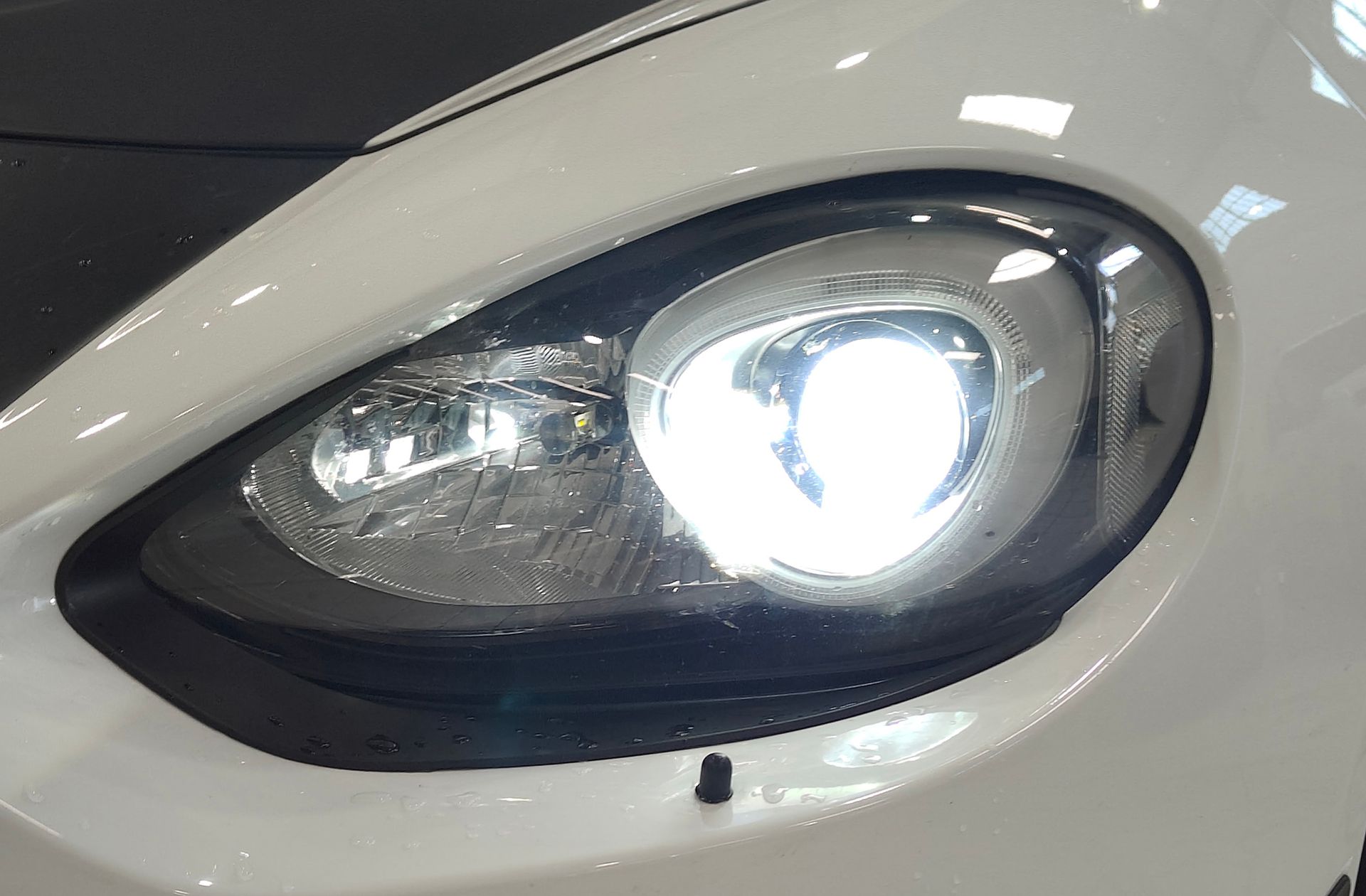 Abarth 124 Spider Scorpione - foto 13