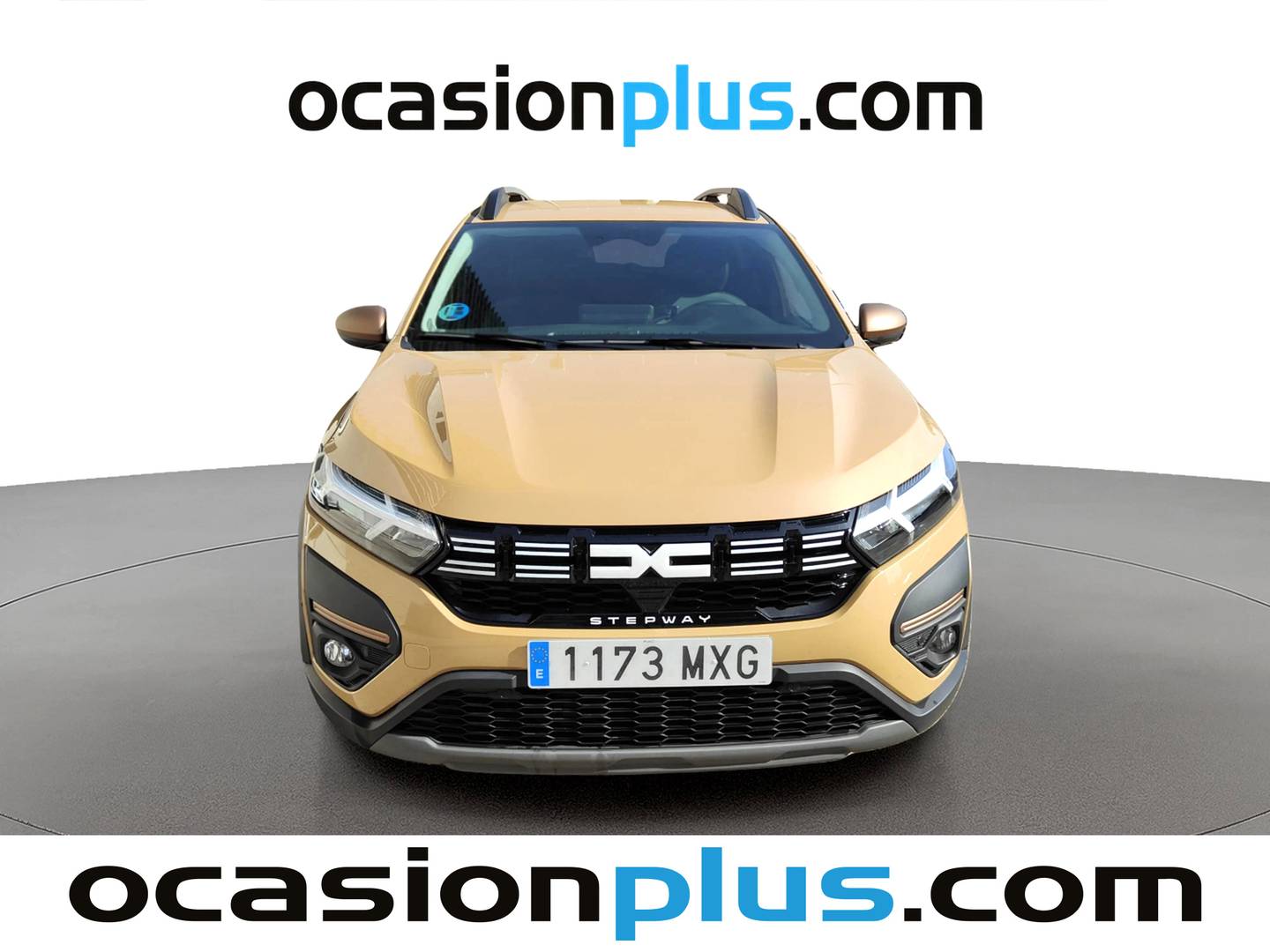 Dacia Sandero Dacia Sandero Stepway Extreme Go ECO-G (101 CV) 101cv