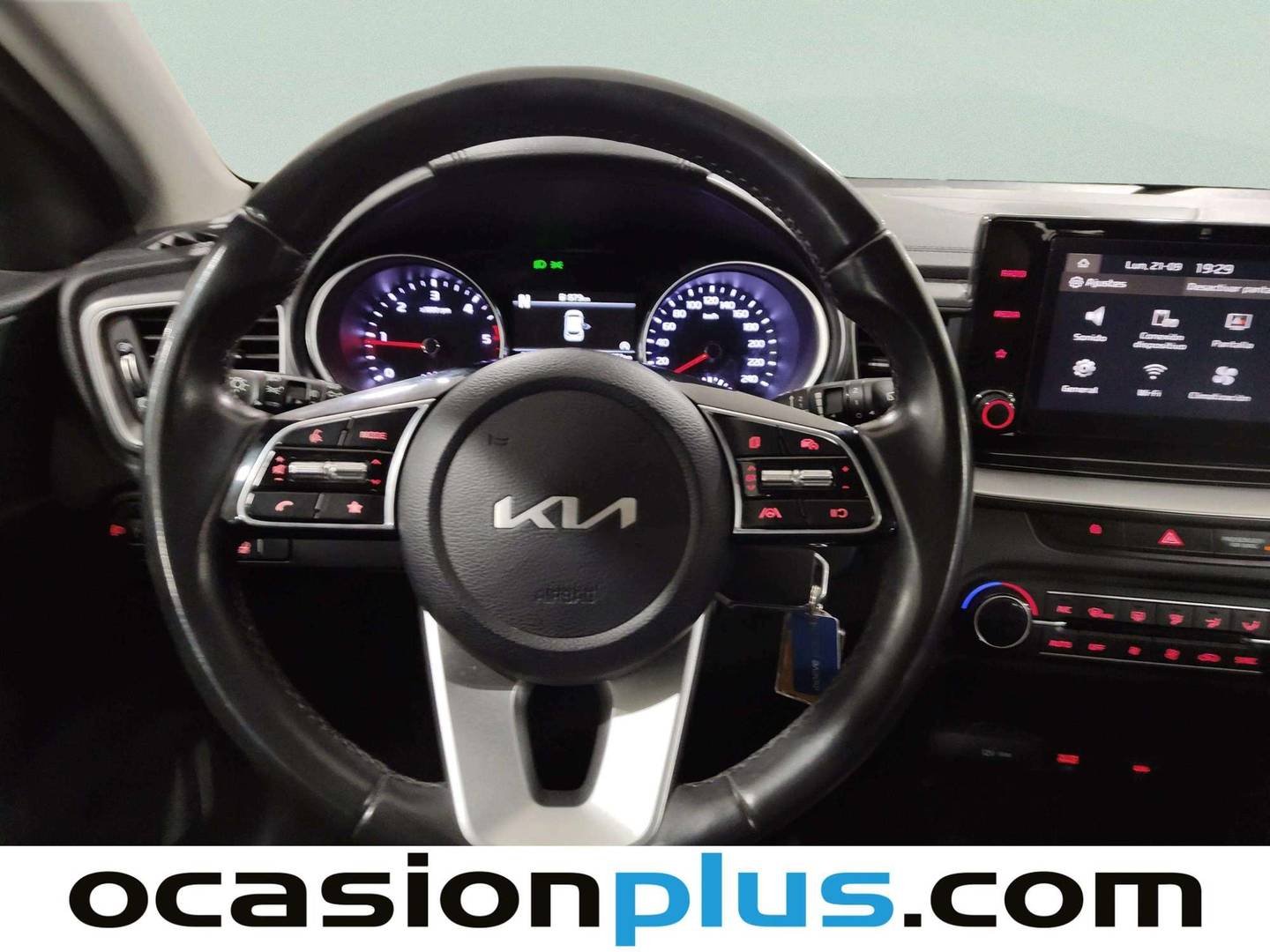 KIA Ceed KIA Ceed 1.6 MHEV iMT Drive (136 CV) 2023
