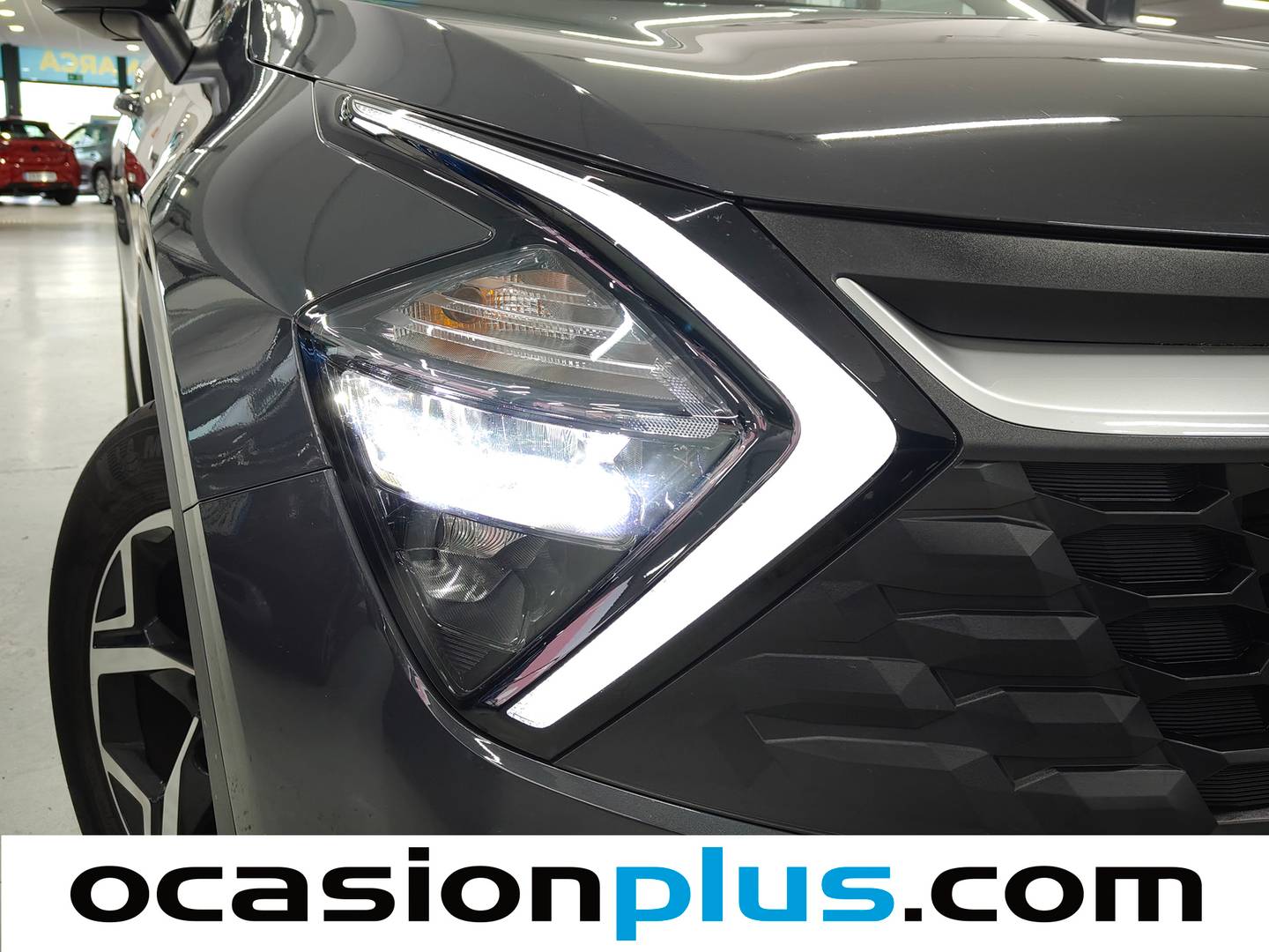 Acabados KIA Sportage KIA Sportage 1.6 CRDi MHEV Business 4x2 DCT (136 CV)