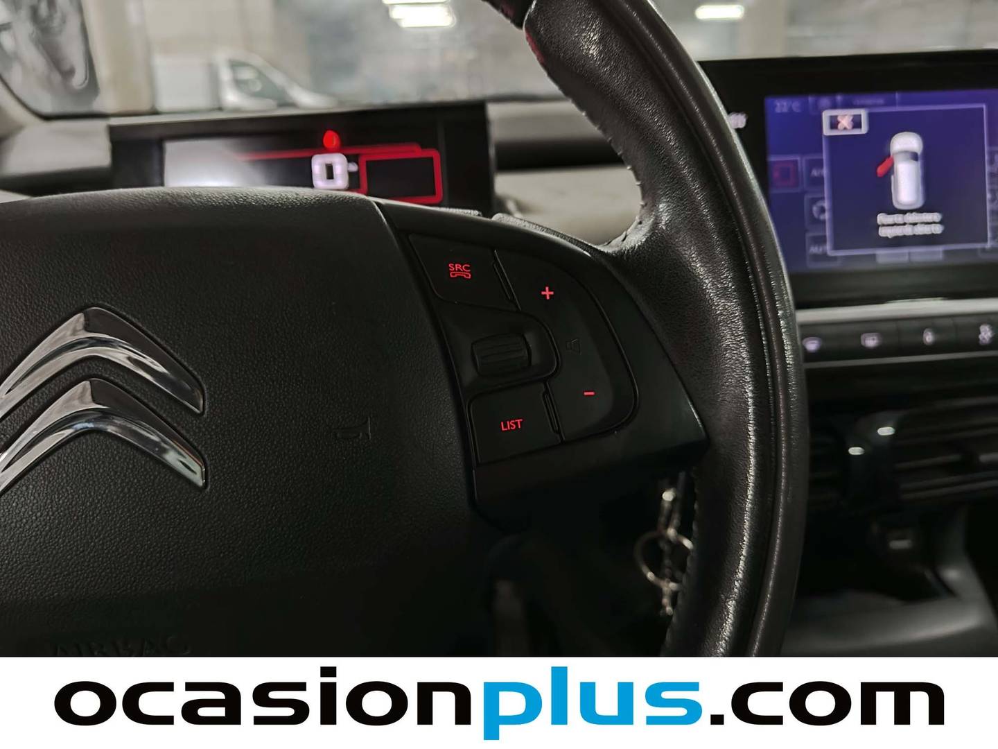 Citroën C4 Cactus Citroen C4 Cactus PureTech 110 S&S Feel (110 CV) 2017