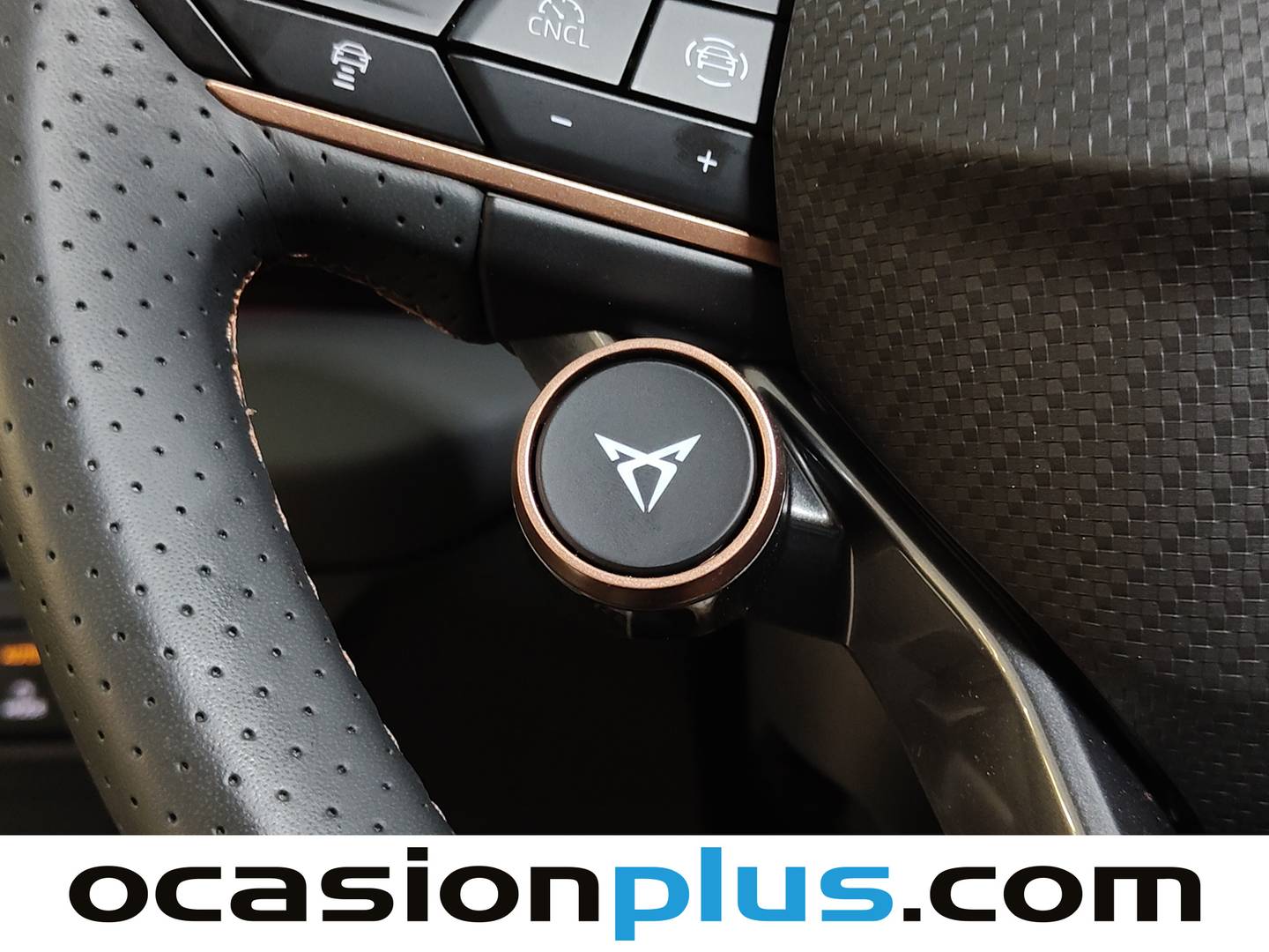 Cupra Terramar Cupra Terramar 1.5 eTSI Beyond DSG (150 CV) km 0