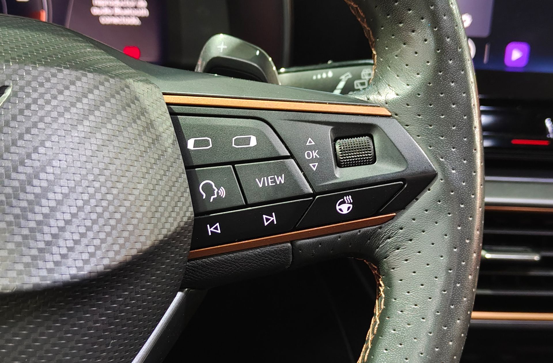 Cupra Formentor 1.5 TSI DSG - foto 25