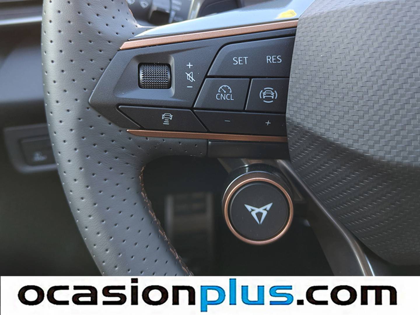 Cupra Terramar CUPRA Terramar 1.5 eTSI DSG (150 CV) barato