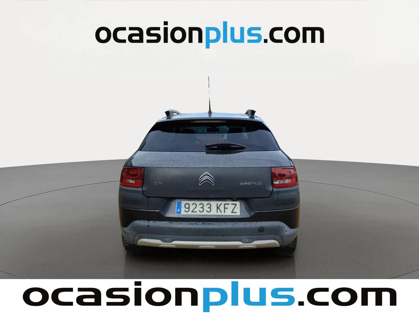 Foto Citroën C4 Cactus Citroen C4 Cactus PureTech 110 S&S Rip Curl (110 CV)