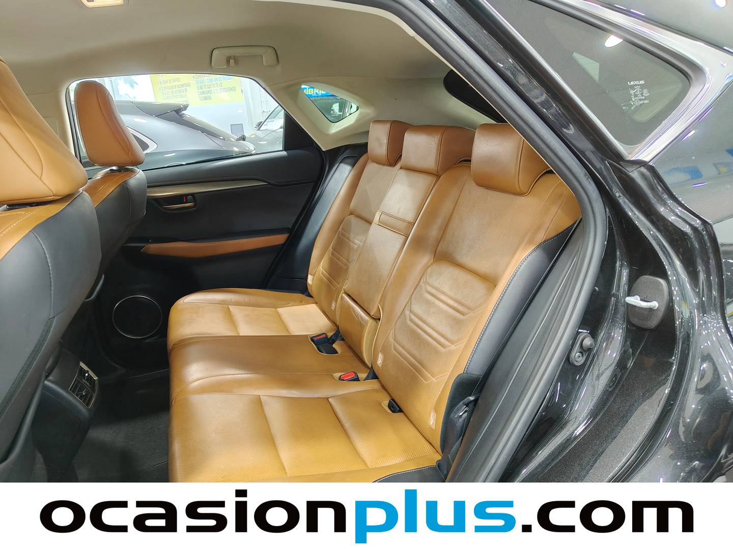 Foto asientos traseros Lexus NX Lexus NX 300h Executive Navigation 4WD (197 CV)