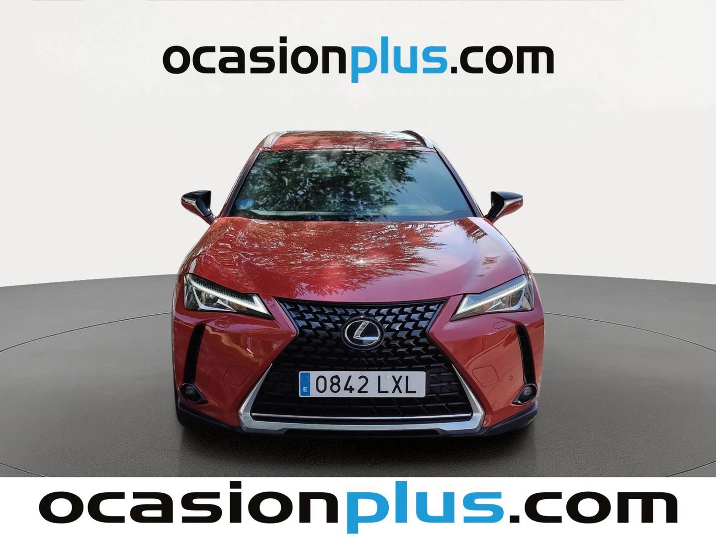 Lexus UX Lexus UX 300e Business (204 CV) 204cv
