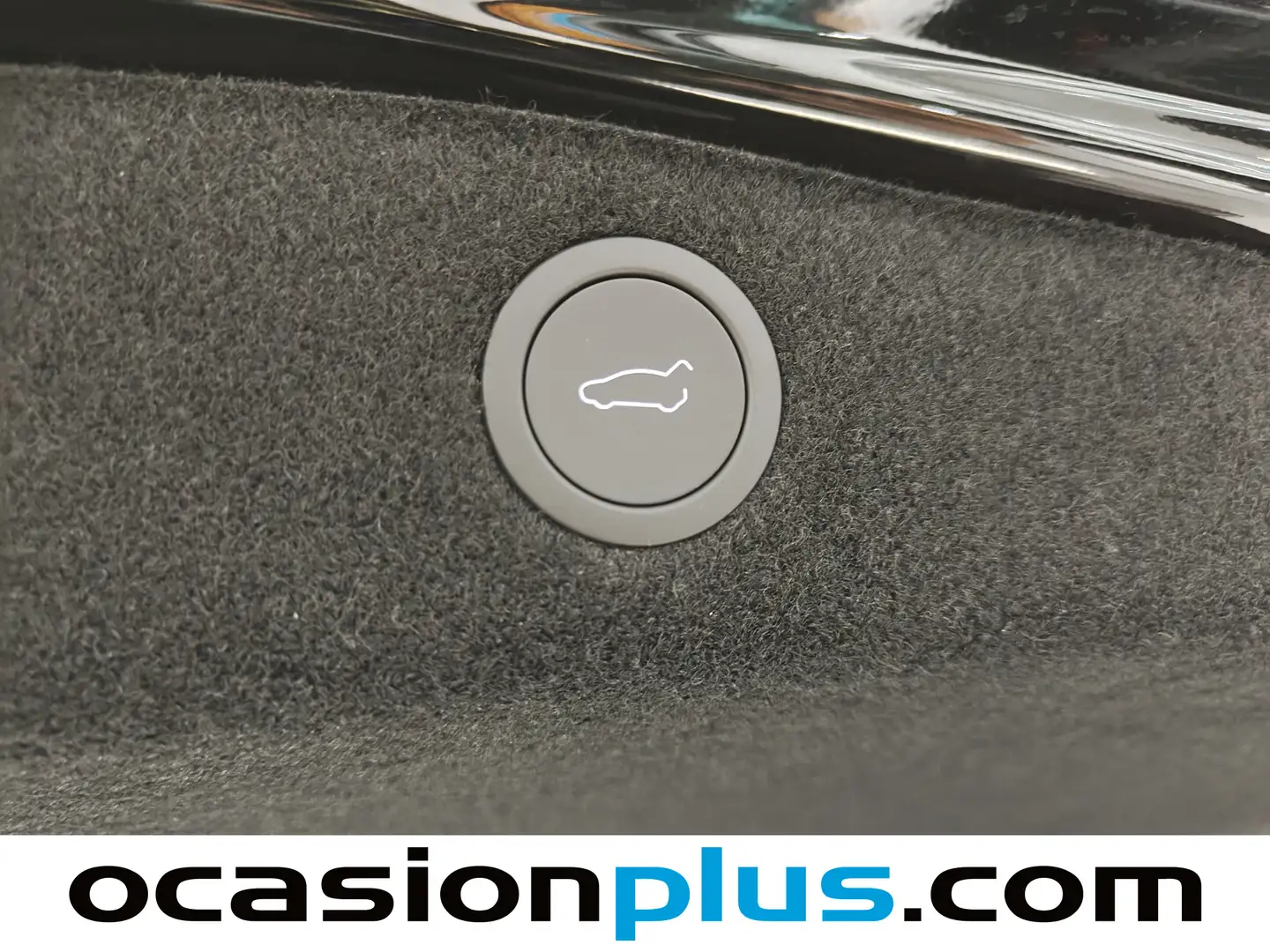 Foto Tesla Model 3 Tesla Model 3 RWD (283 CV)