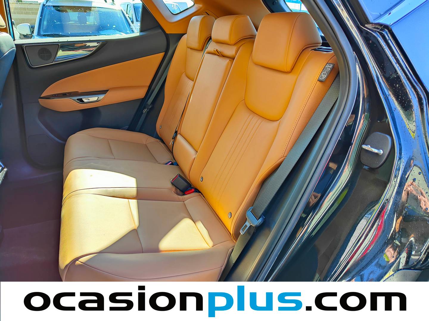 Foto asientos traseros Lexus NX Lexus NX 350h Premium+ 2WD (242 CV)