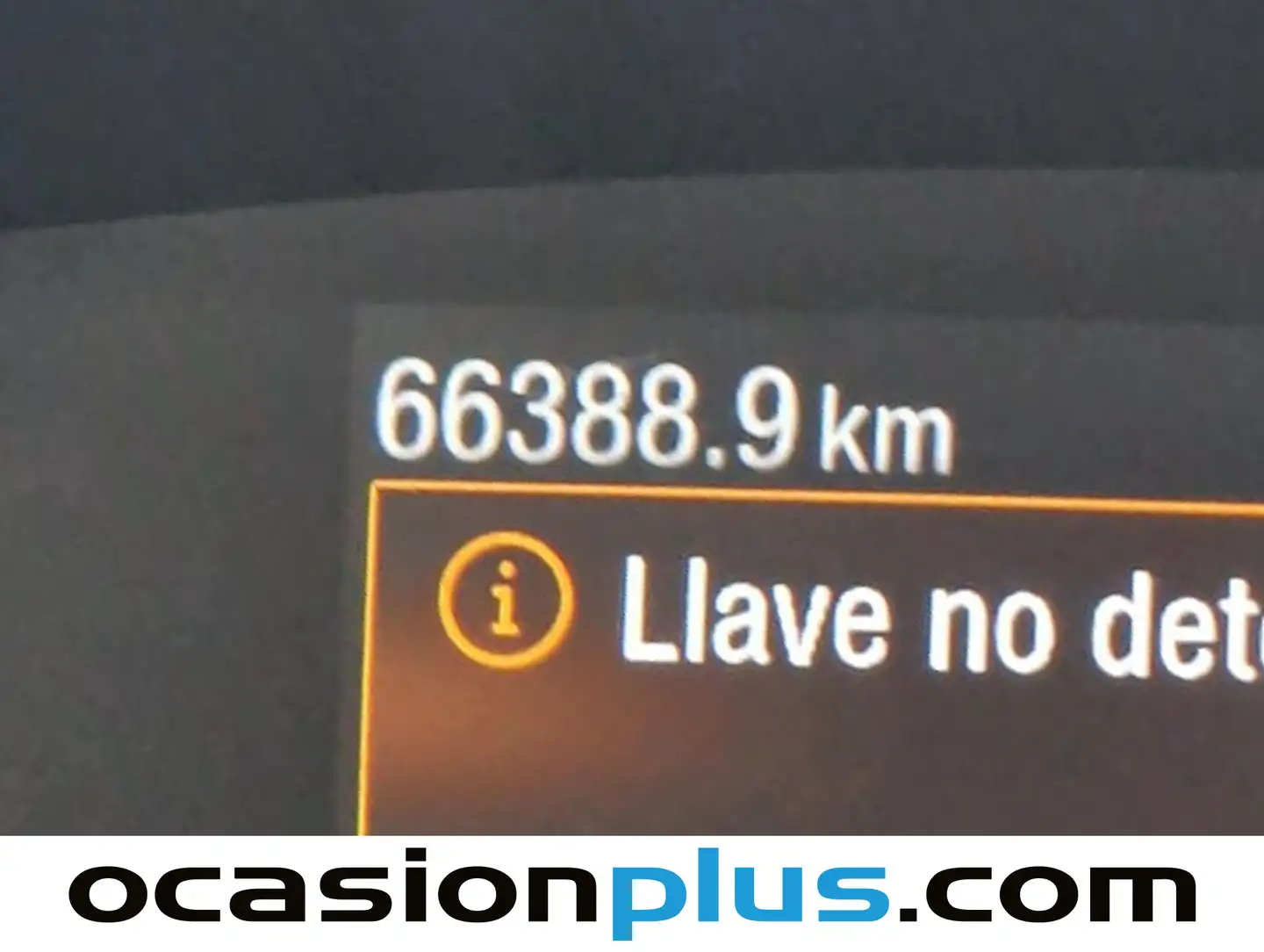 Foto Ford Focus Ford Focus 1.0 Ecoboost MHEV Active (155 CV)