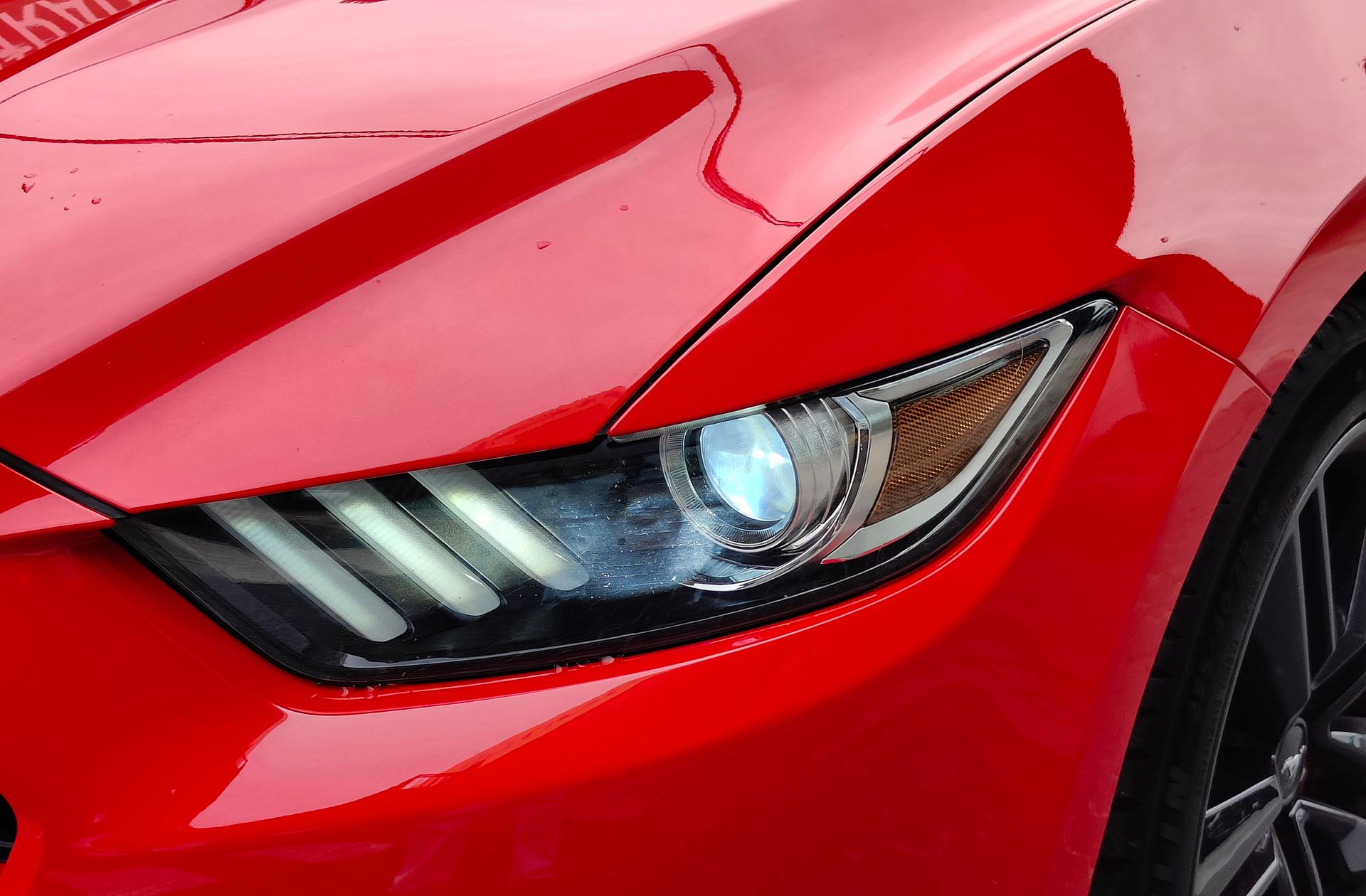 Ford Mustang 2.3 EcoBoost Mustang (Fastback) - foto 14