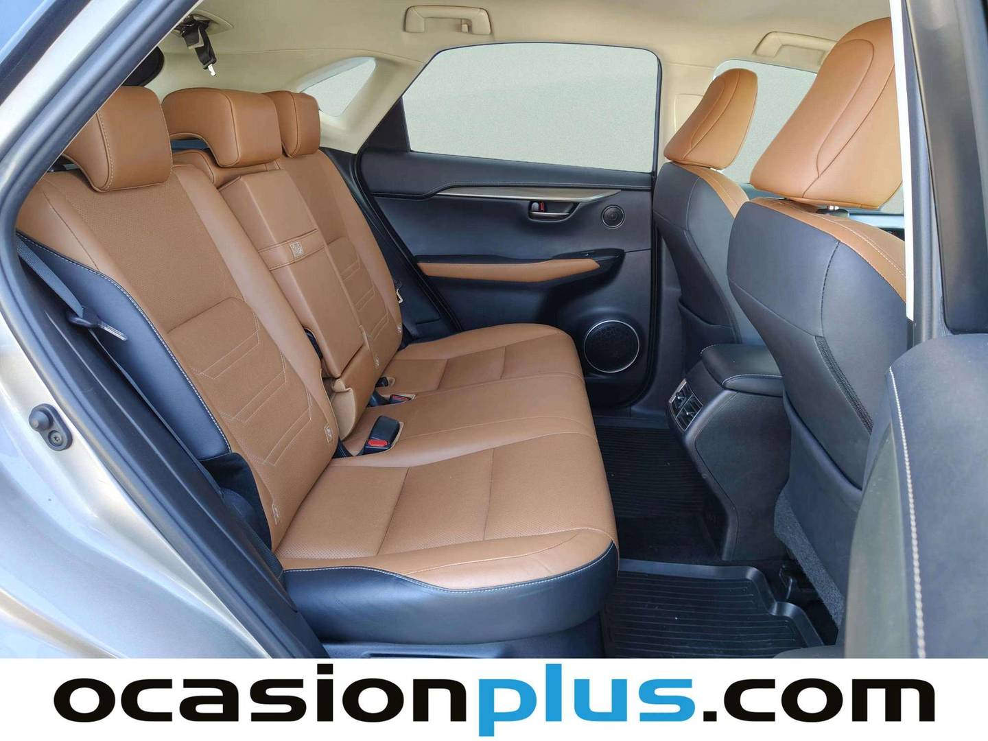 Lexus NX Lexus NX 300h Executive Navigation 4WD (197 CV) automático