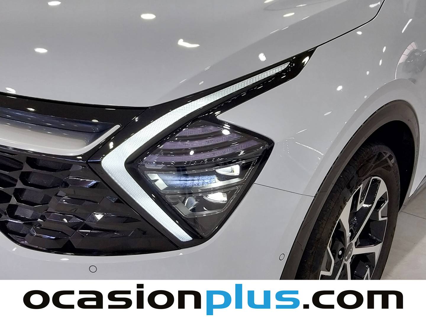 KIA Sportage KIA Sportage 1.6 T-GDi HEV Tech 4x2 Auto (230 CV) al mejor precio