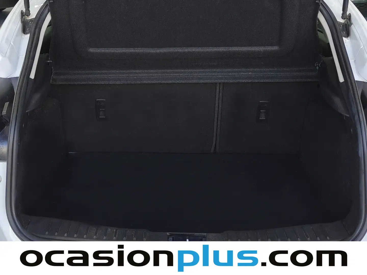 Foto Ford Focus Ford Focus 1.0 Ecoboost Business (125 CV)