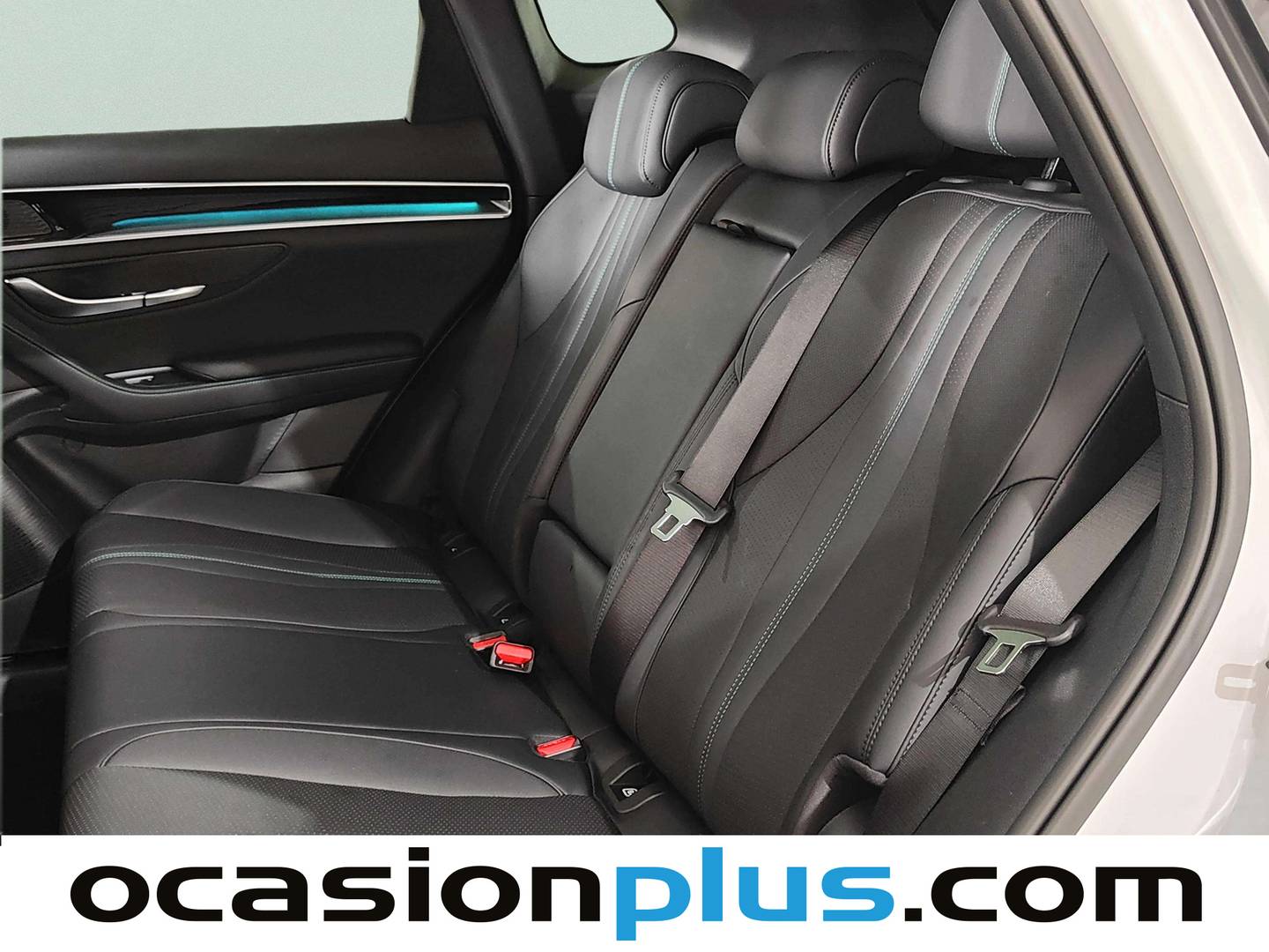 Foto asientos traseros BYD Seal U BYD Seal U U Comfort 72 kWh (218 CV)