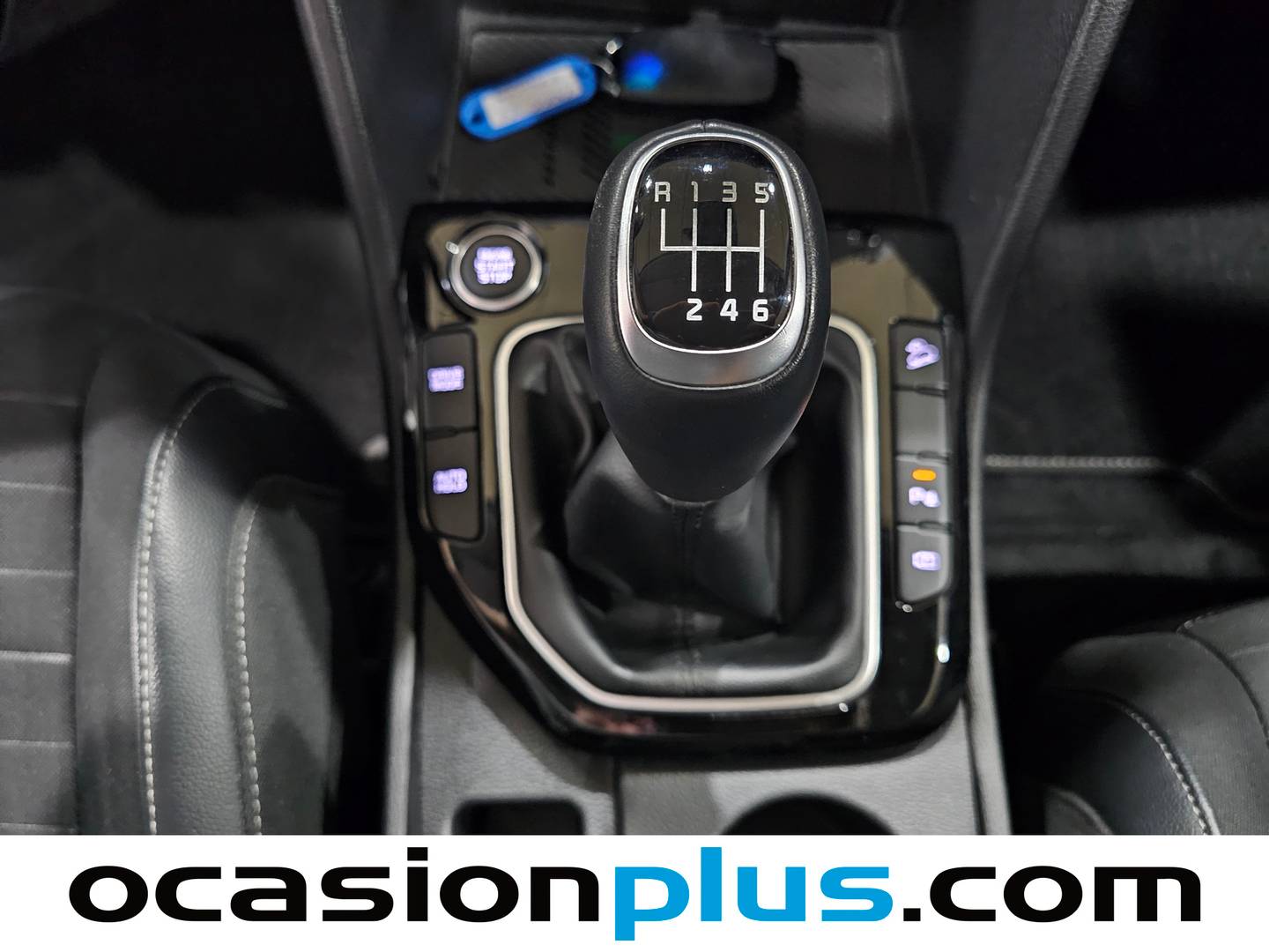 KIA Sportage KIA Sportage 1.6 T-GDi MHEV Tech 4x2 (150 CV) de segunda mano