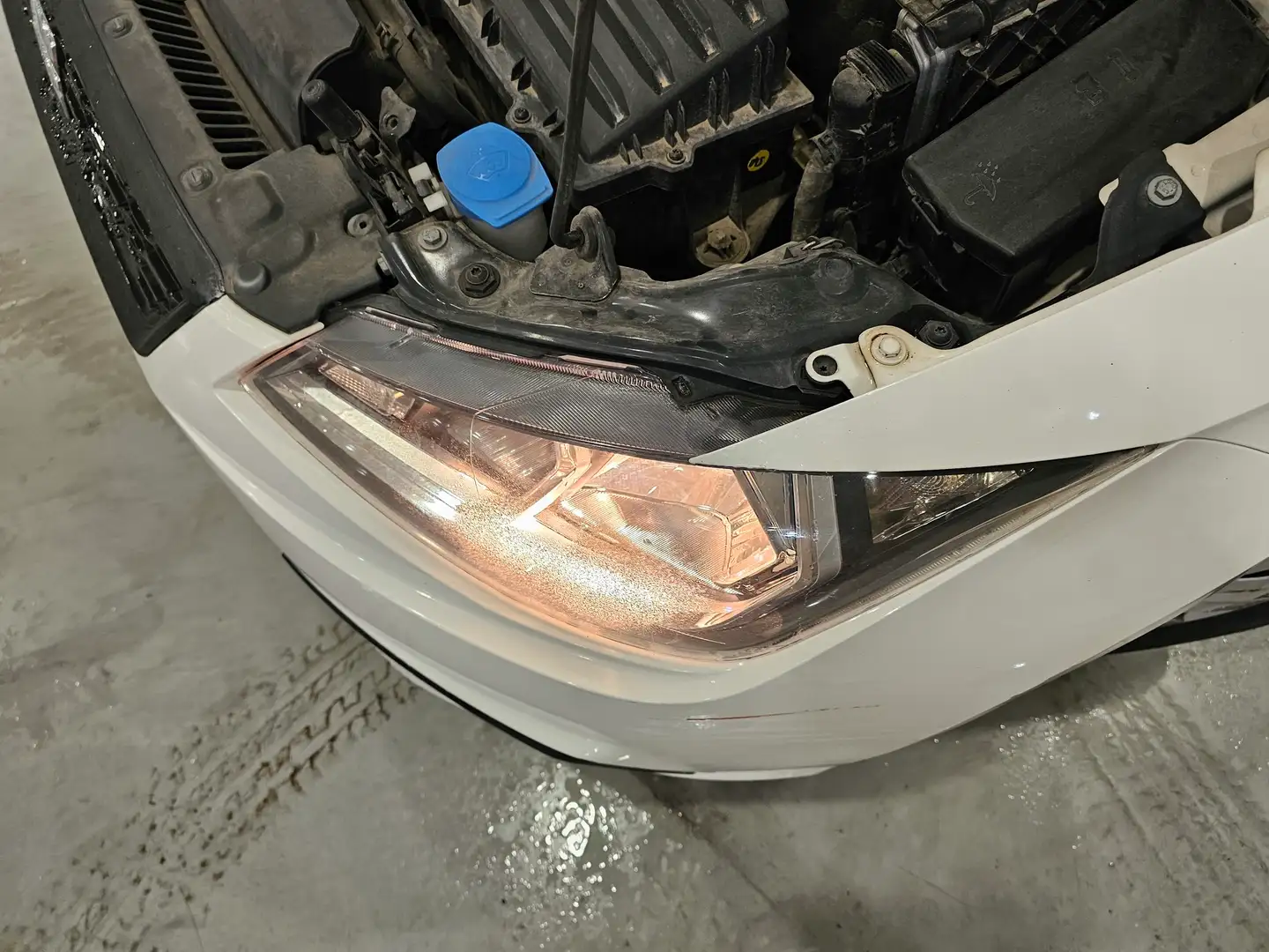 Foto Seat Ibiza SEAT Ibiza 1.6 TDI Reference Plus (95 CV)