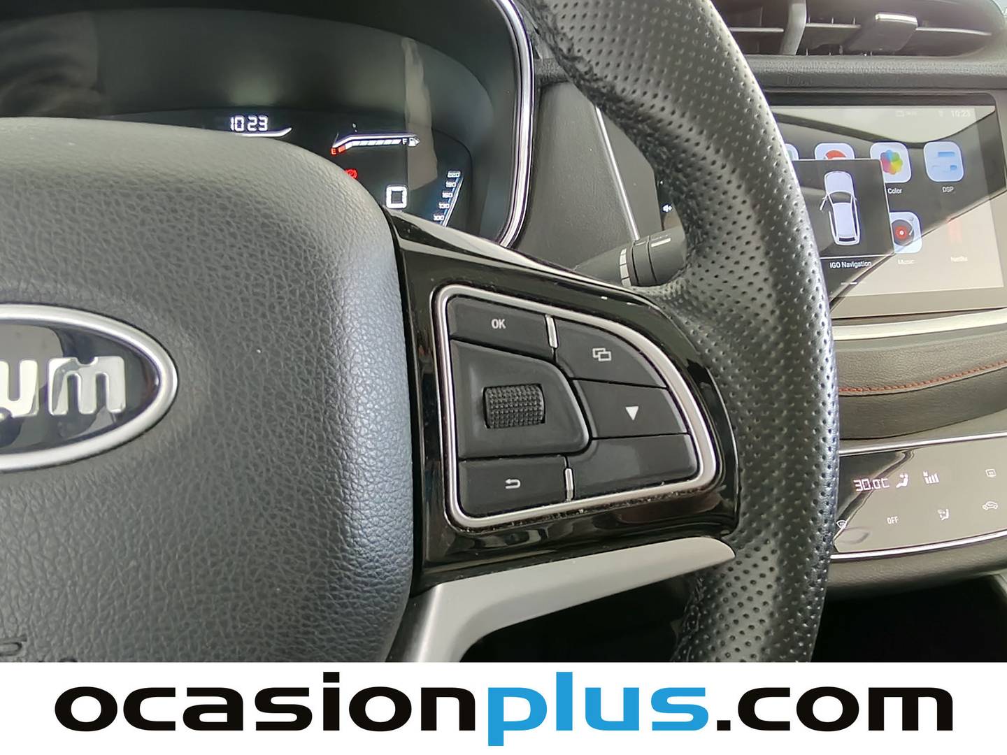 SWM G01 SWM G01 1.5T Luxury (131 CV) gasolina