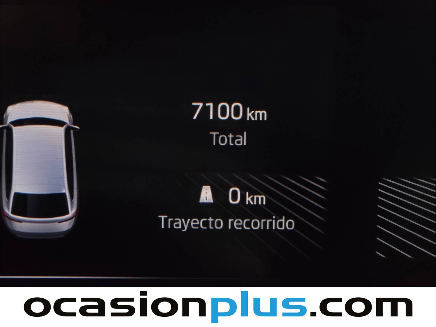 Foto Skoda Fabia Skoda Fabia 1.0 TSI Selection DSG (115 CV)