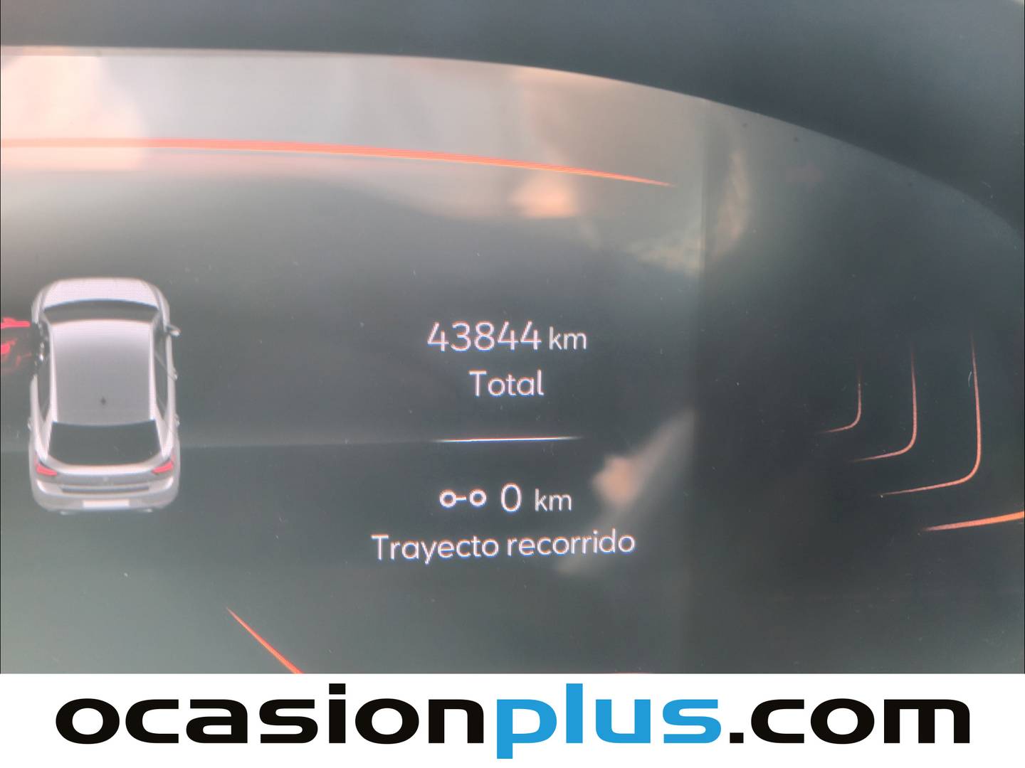 Seat Ibiza SEAT Ibiza 1.0 TSI Special Edition (115 CV) seminuevo