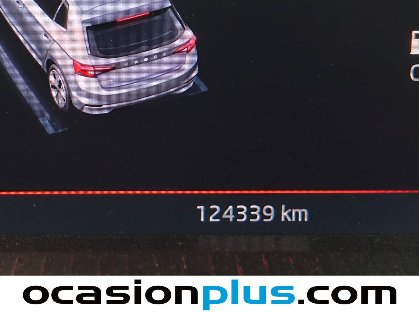 Skoda Fabia Skoda Fabia 1.0 TSI Monte Carlo (110 CV) seminuevo