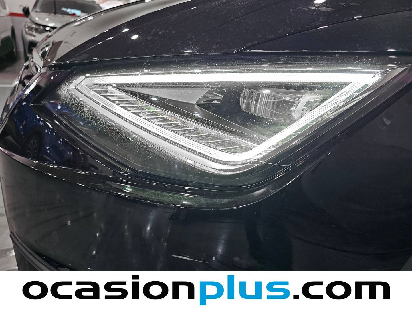 Seat Ibiza Seat Ibiza 1.5 TSI S&S FR Plus DSG (150 CV) km 0