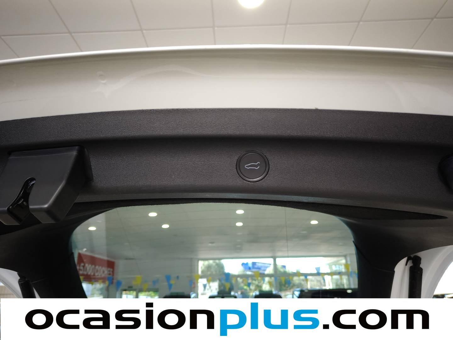 Tesla Model Y Tesla Model Y Gran Autonomía 4WD (514 CV) 2023