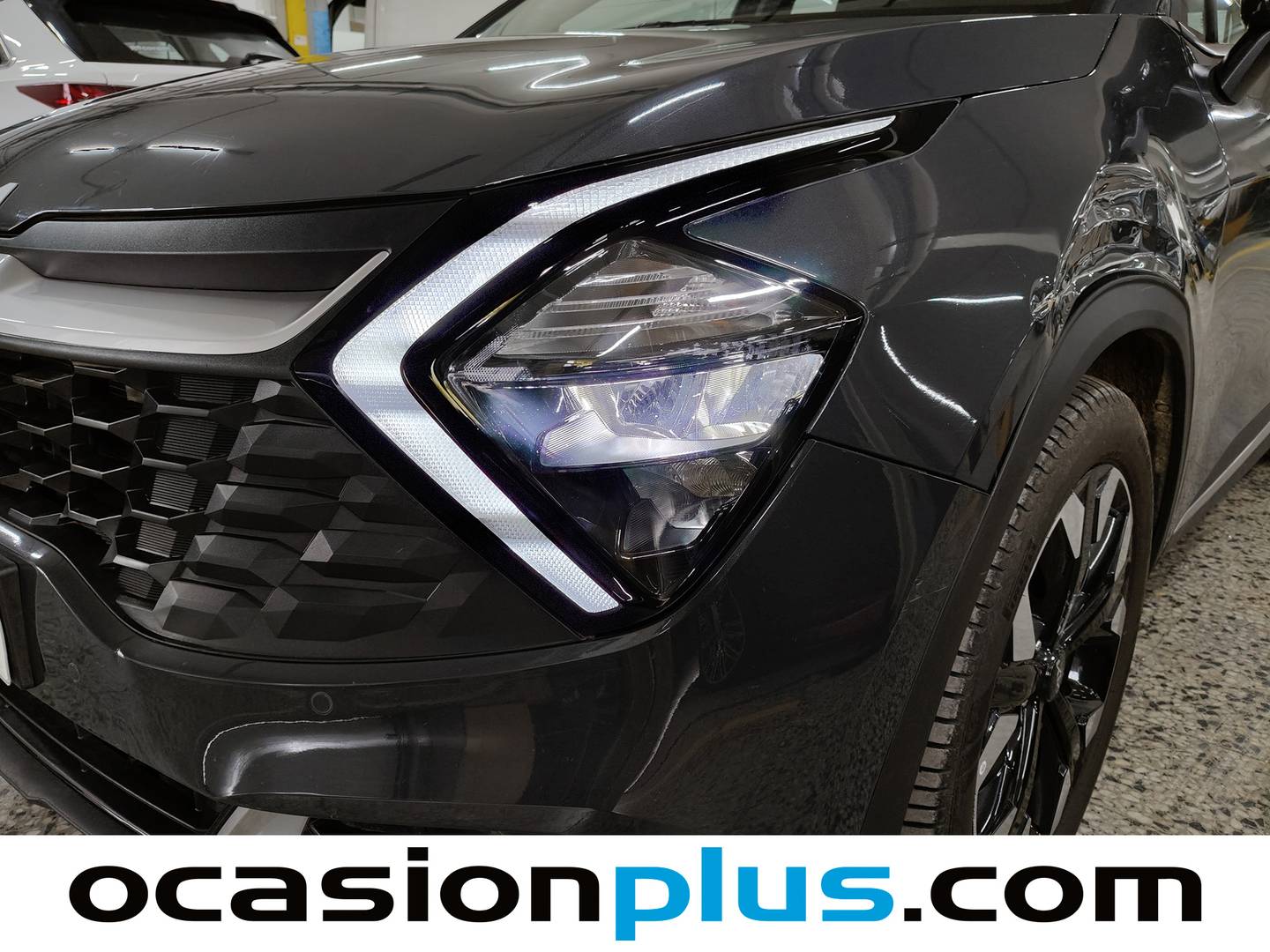 KIA Sportage Kia Sportage 1.6 T-GDi PHEV Drive 4x4 (265 CV) barato