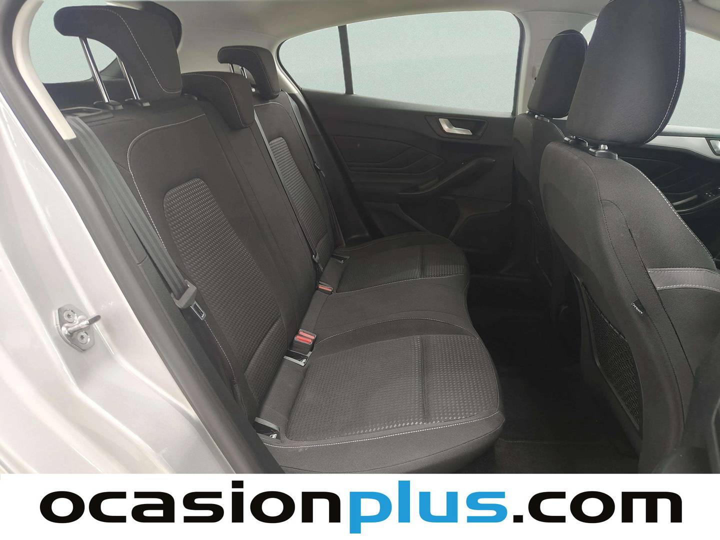 Ford Focus Ford Focus 1.5 Ecoblue Trend+ (95 CV) km 0