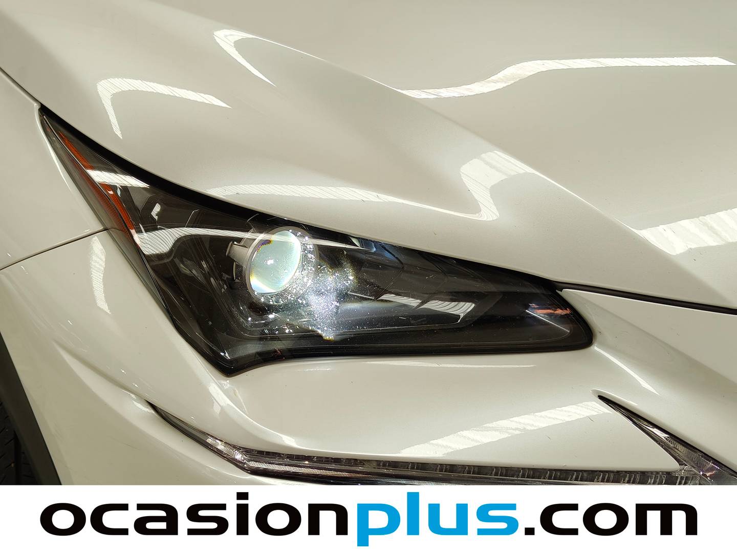Extras del Lexus NX Lexus NX 300h Premium 2WD (197 CV)