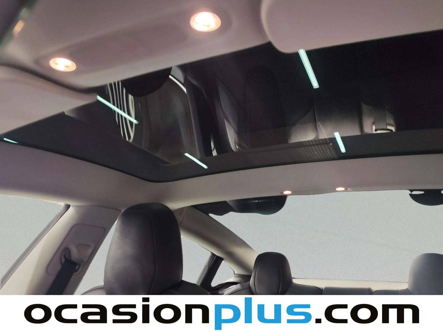 Extras y acabados del Tesla Model 3 Tesla Model 3 Estándar Plus RWD (306 CV)