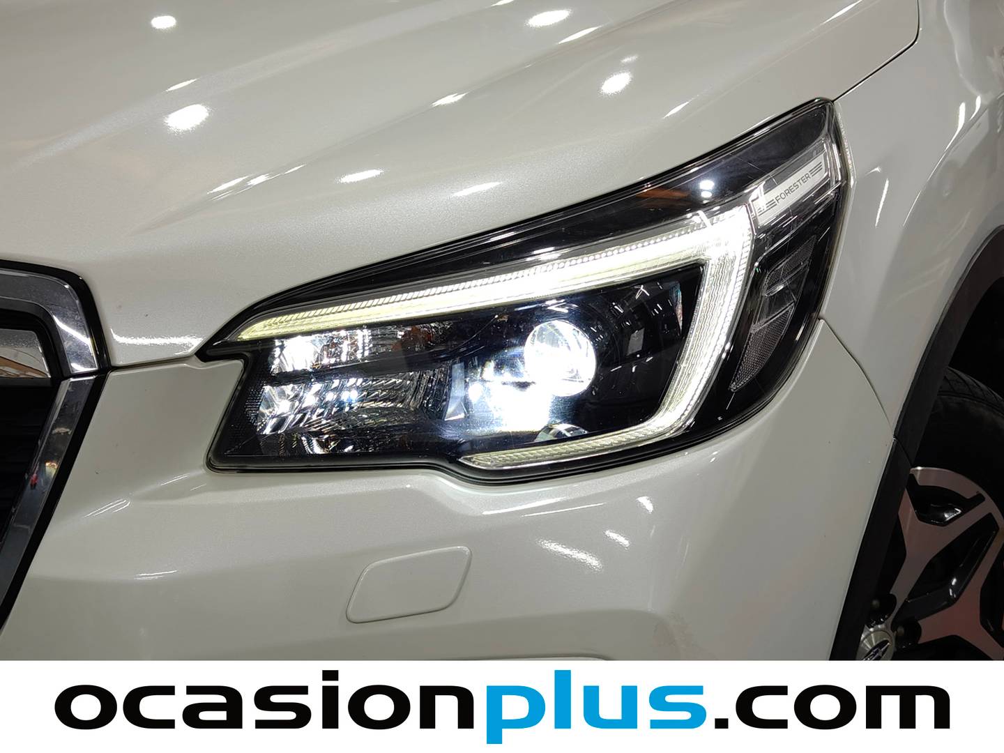 Subaru Forester Subaru Forester 2.0i Hybrid Executive Plus CVT (150 CV) híbrido