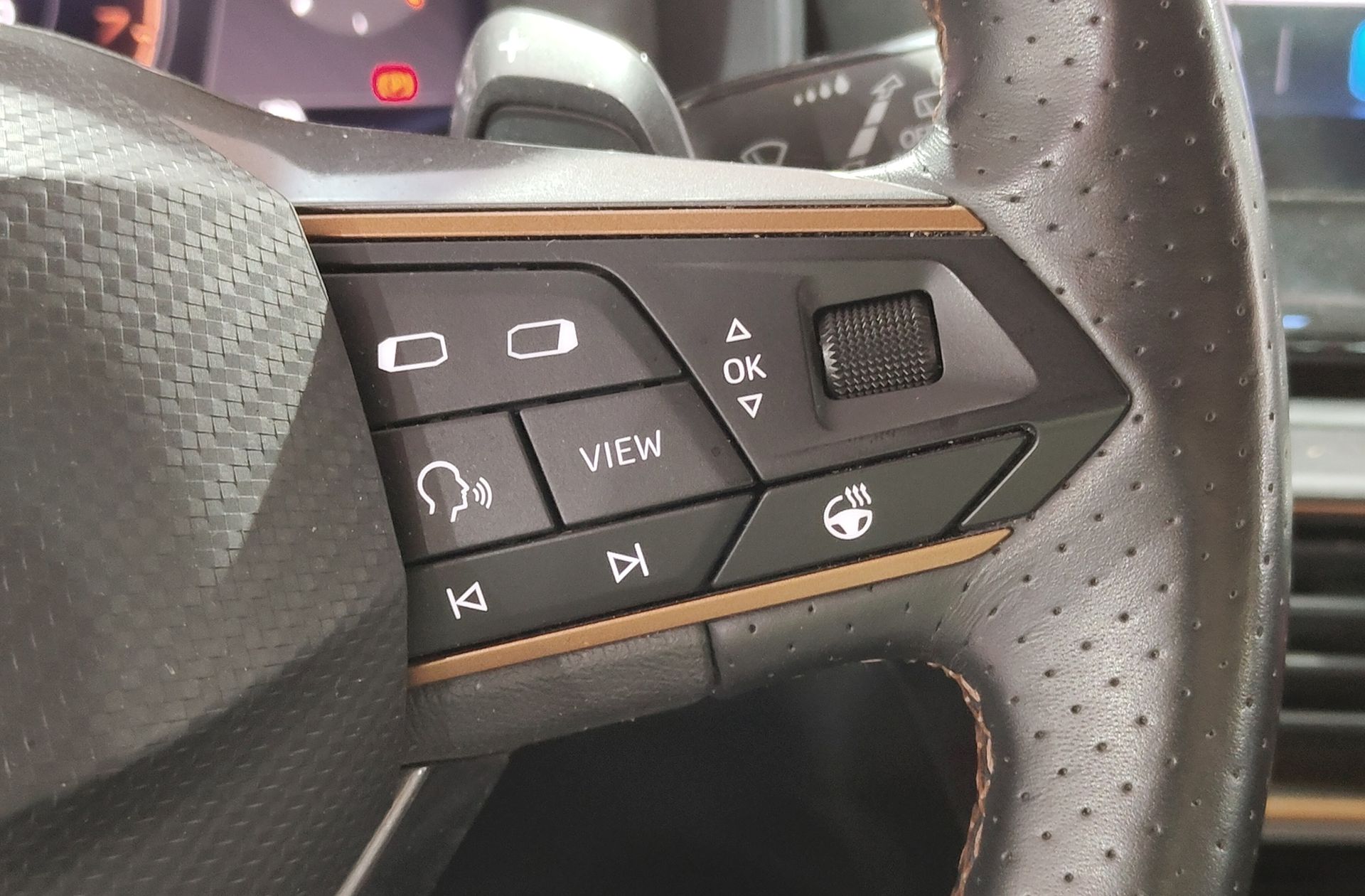 Cupra Formentor 1.5 TSI DSG - foto 26