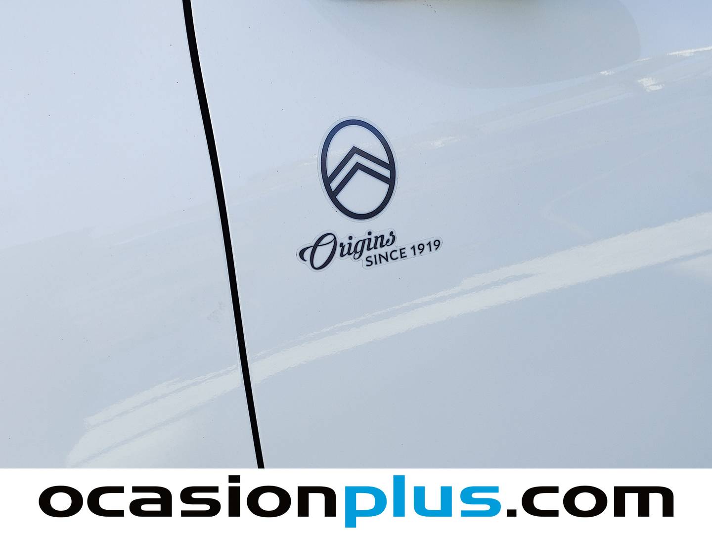 Citroën C4 Cactus Citroën C4 Cactus BlueHDi 100 S&S Origins (102 CV) de segunda mano