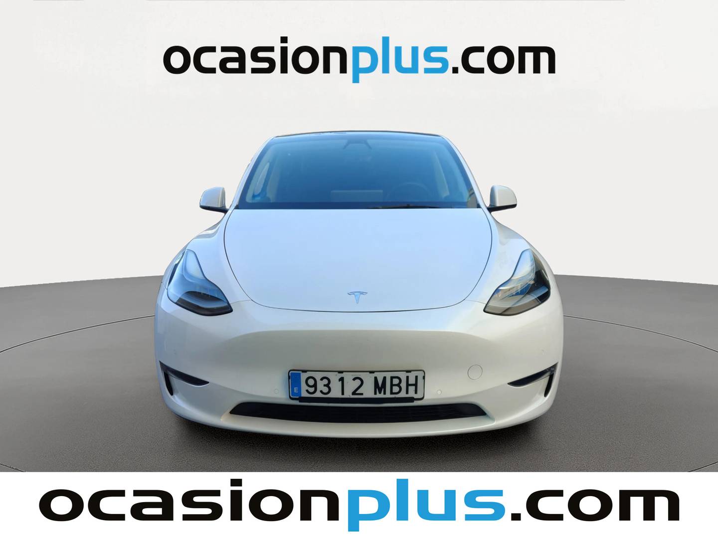 Tesla Model Y Tesla Model Y Performance 4WD (534 CV) 534cv