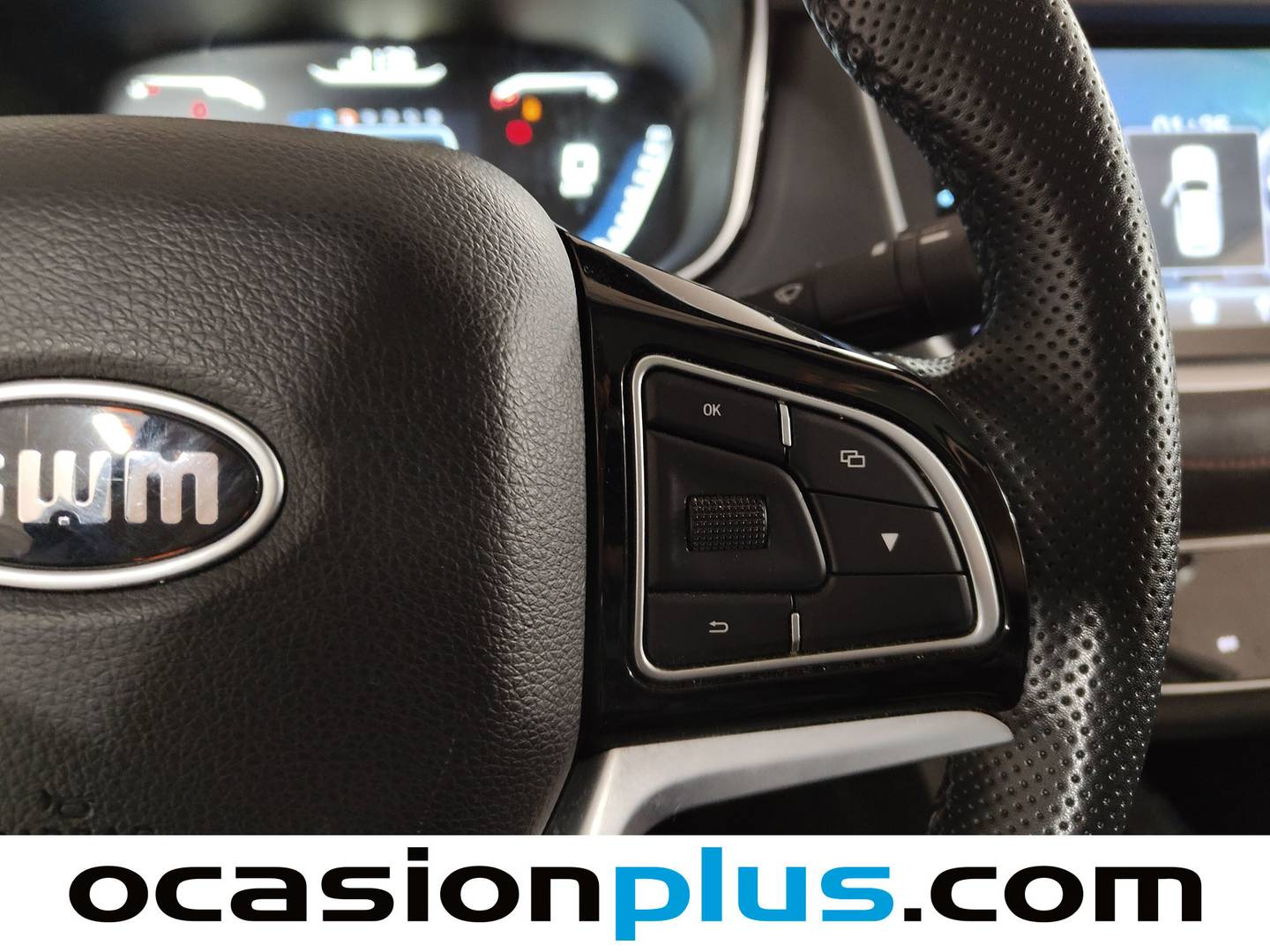 SWM G01 SWM G01 1.5T Luxury (131 CV) al mejor precio