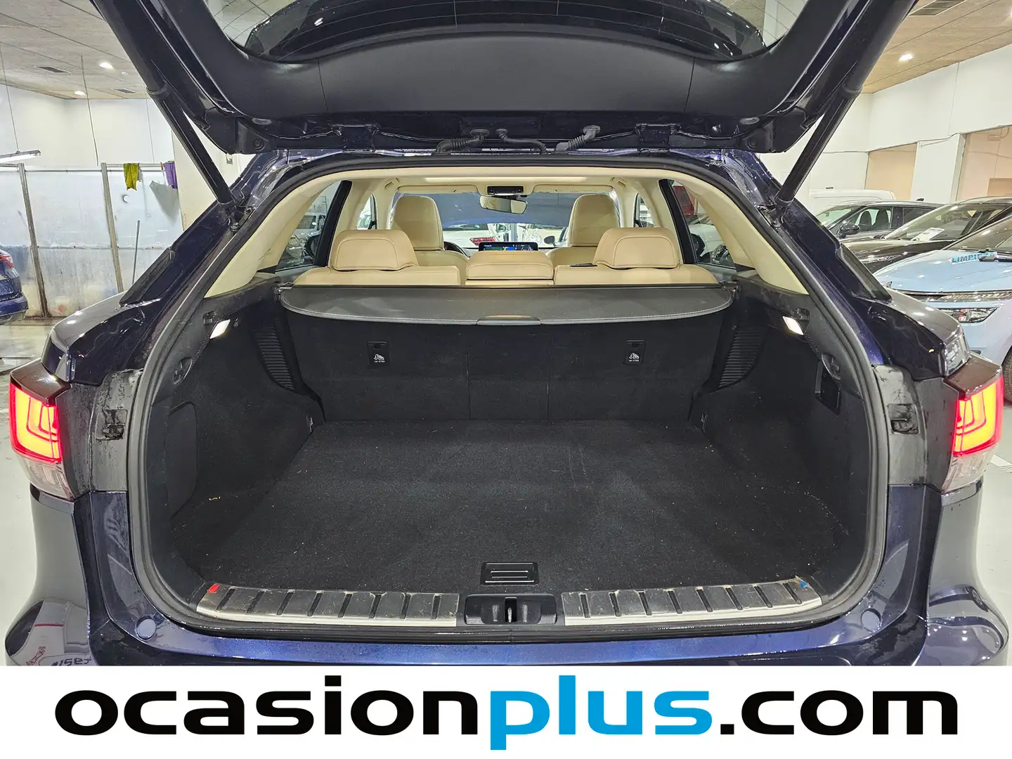 Foto Lexus RX Lexus RX 450h Executive (313 CV)