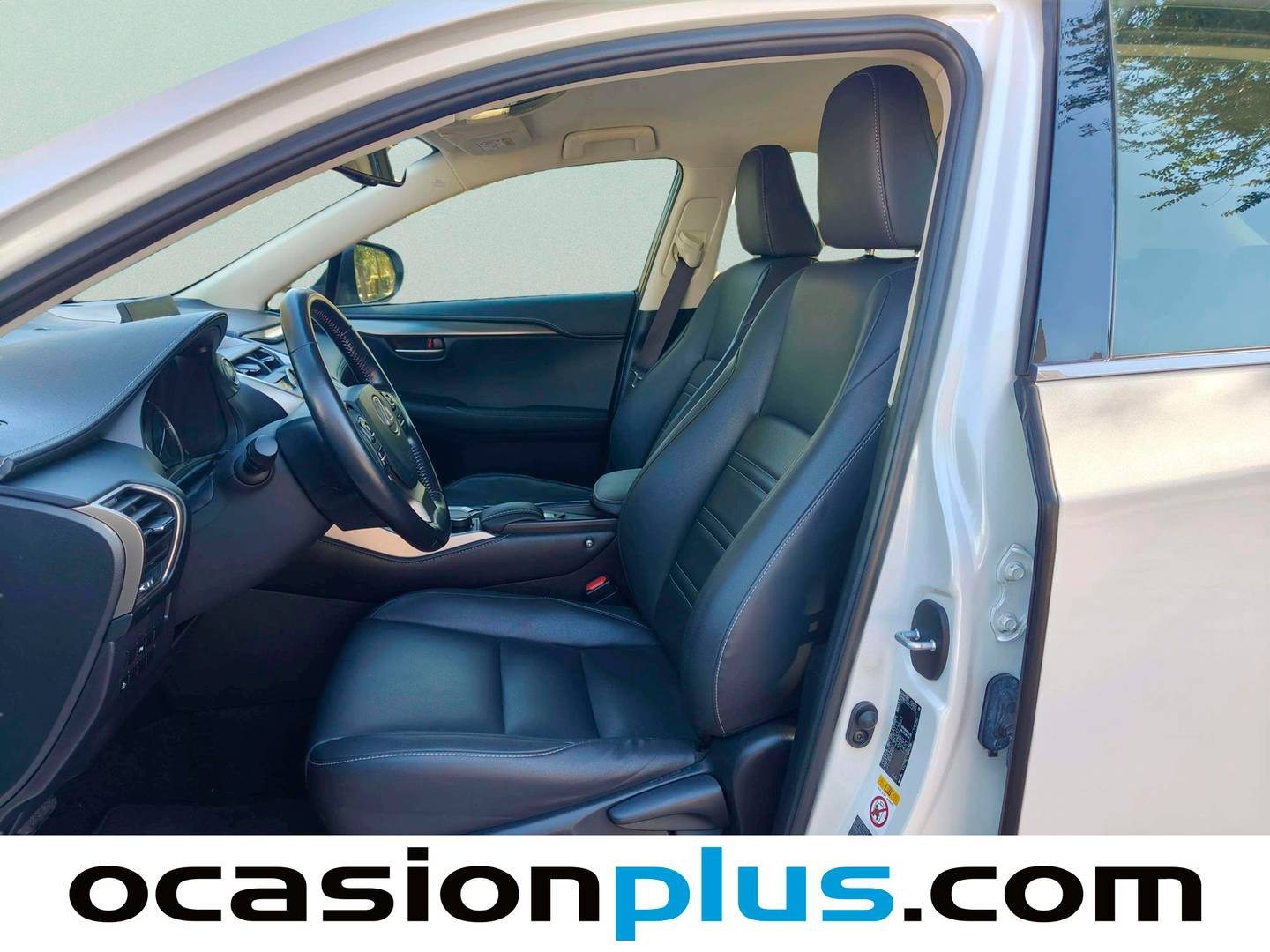 Foto asientos delanteros Lexus NX Lexus NX 300h Executive 4WD Tecno + Navibox (197 CV)