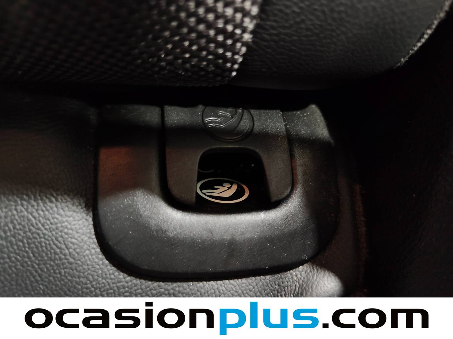 Audi Q5 Audi Q5 S line edition 2.0 TDI ultra (150 CV) de ocasión
