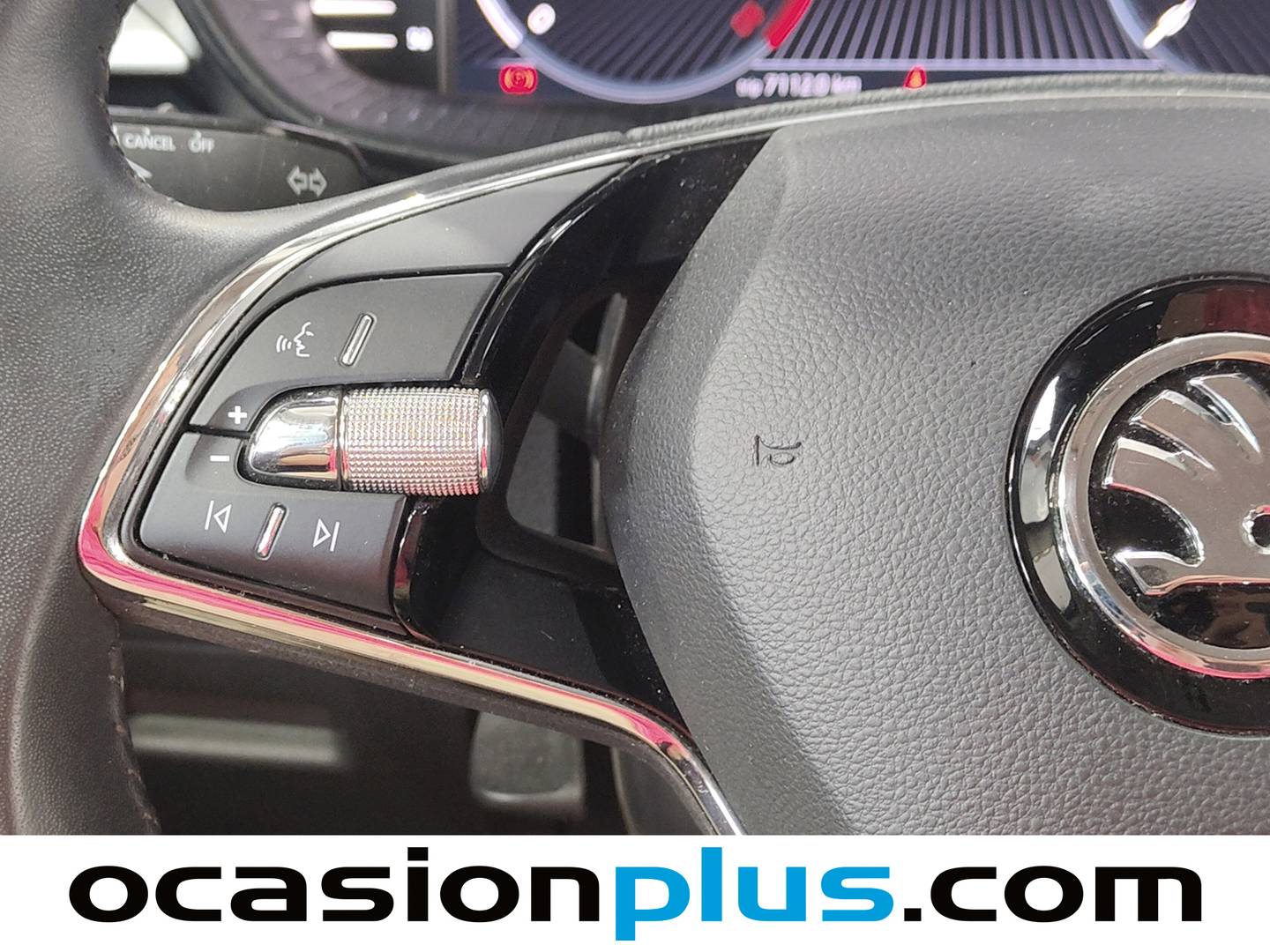 Skoda Fabia Skoda Fabia 1.0 MPI Emotion (80 CV) de ocasión