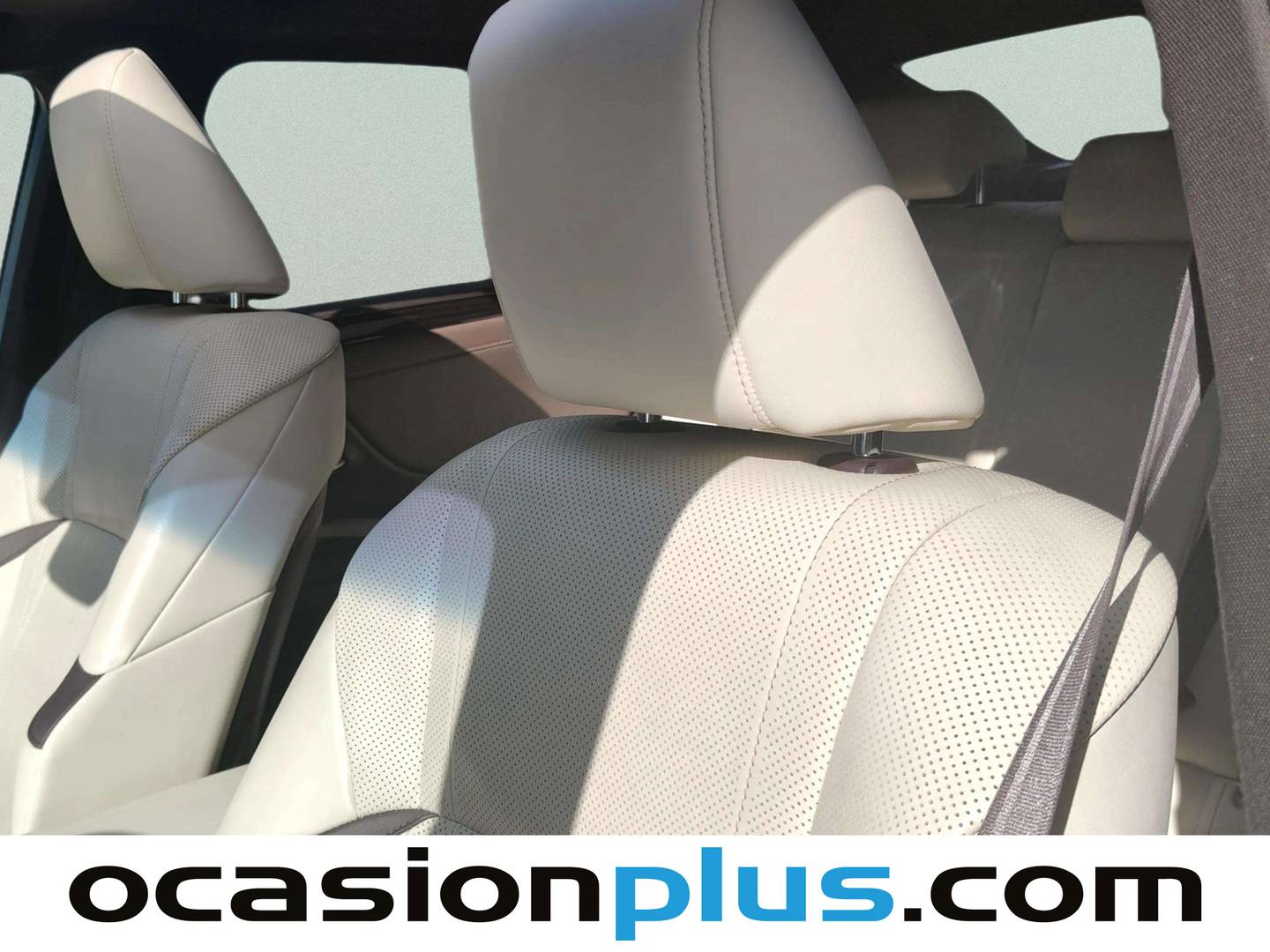 Extras y acabados del Lexus ES Lexus ES 300h Executive (218 CV)
