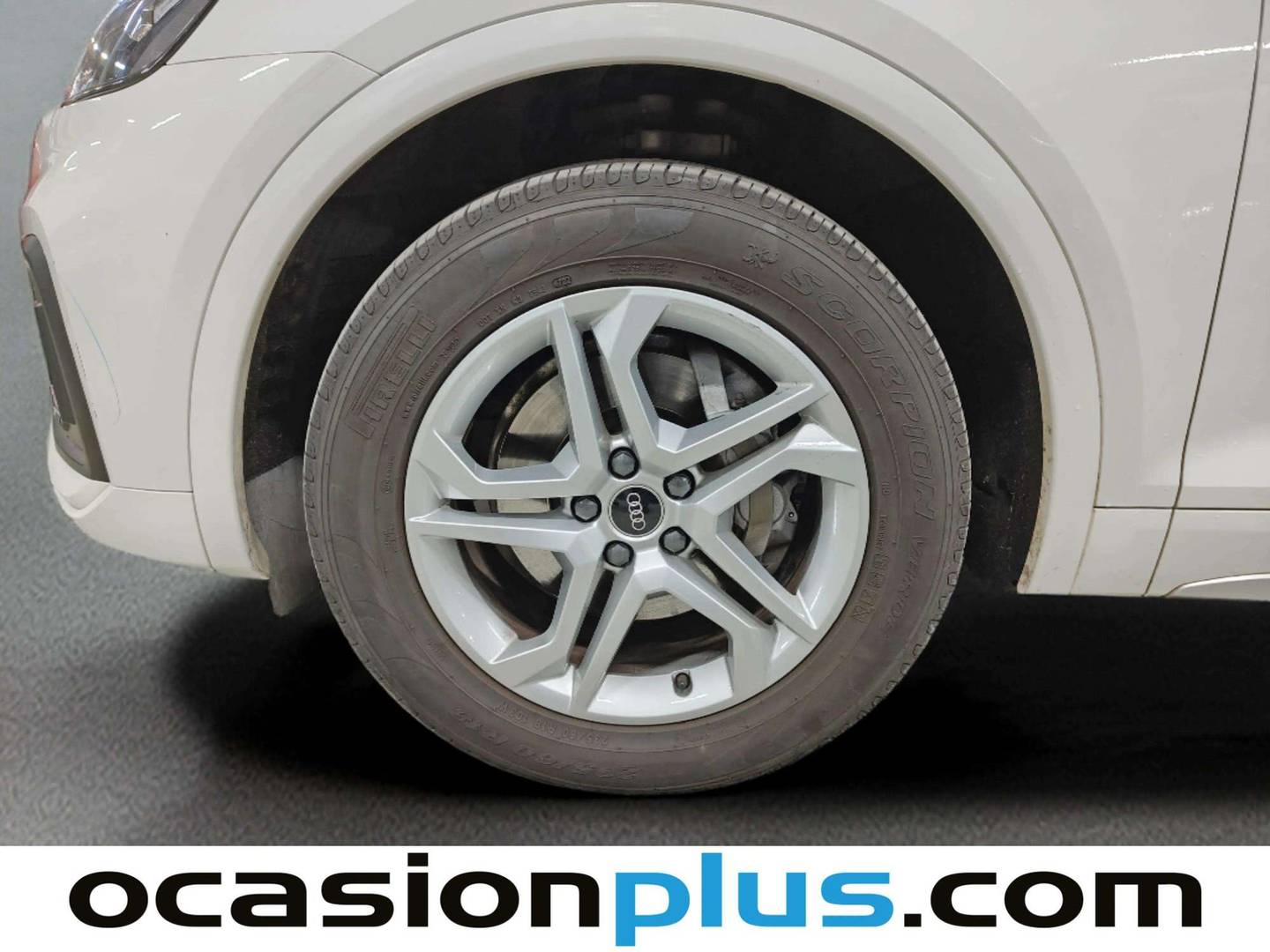 Audi Q5 Audi Q5 Advanced 35 TDI (163 CV) S tronic km 0