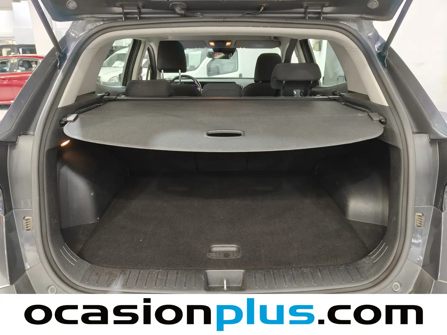 Foto KIA Sportage Kia Sportage 1.6 CRDi MHEV Business 4x2  (136 CV)