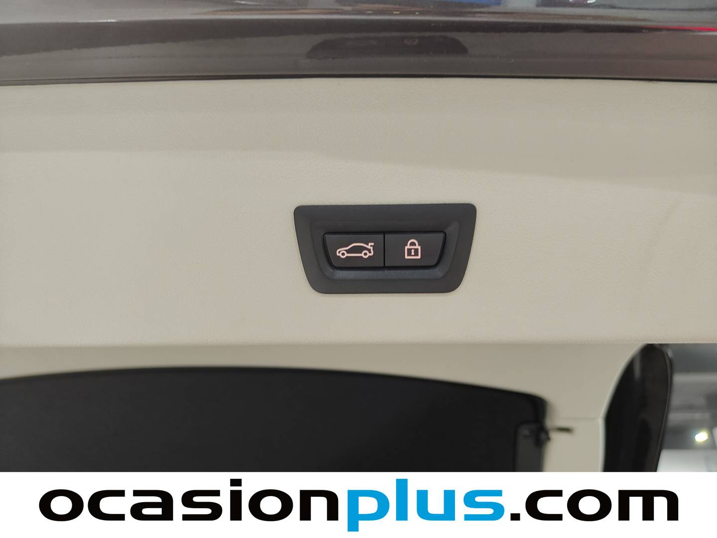 Foto BMW X4 BMW X4 xDrive20d (190 CV)