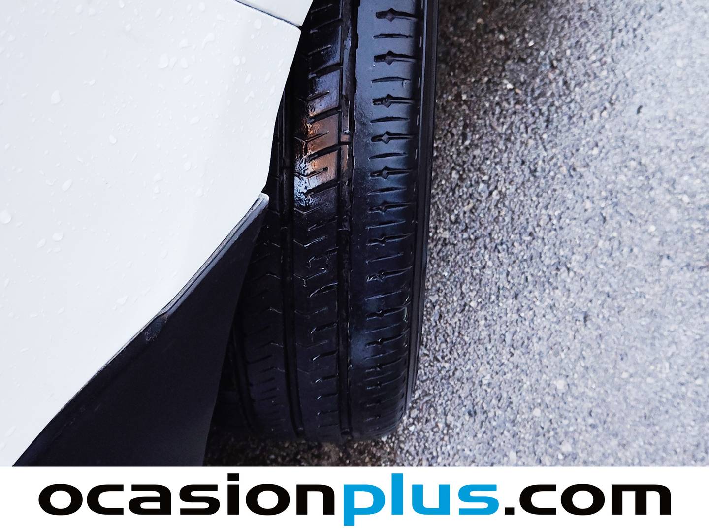 Renault Trafic Renault Trafic Furgon Furgon dCi 115 29 L1H1 (115 CV) de ocasión