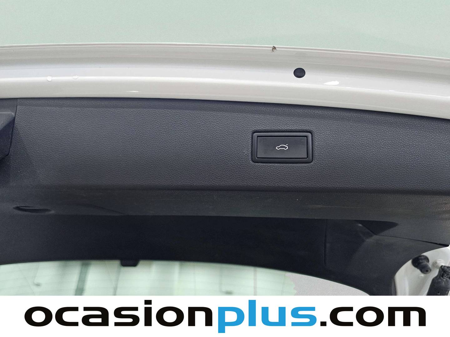 Volkswagen Tiguan Volkswagen Tiguan Life 2.0 TDI (150 CV) DSG 2024