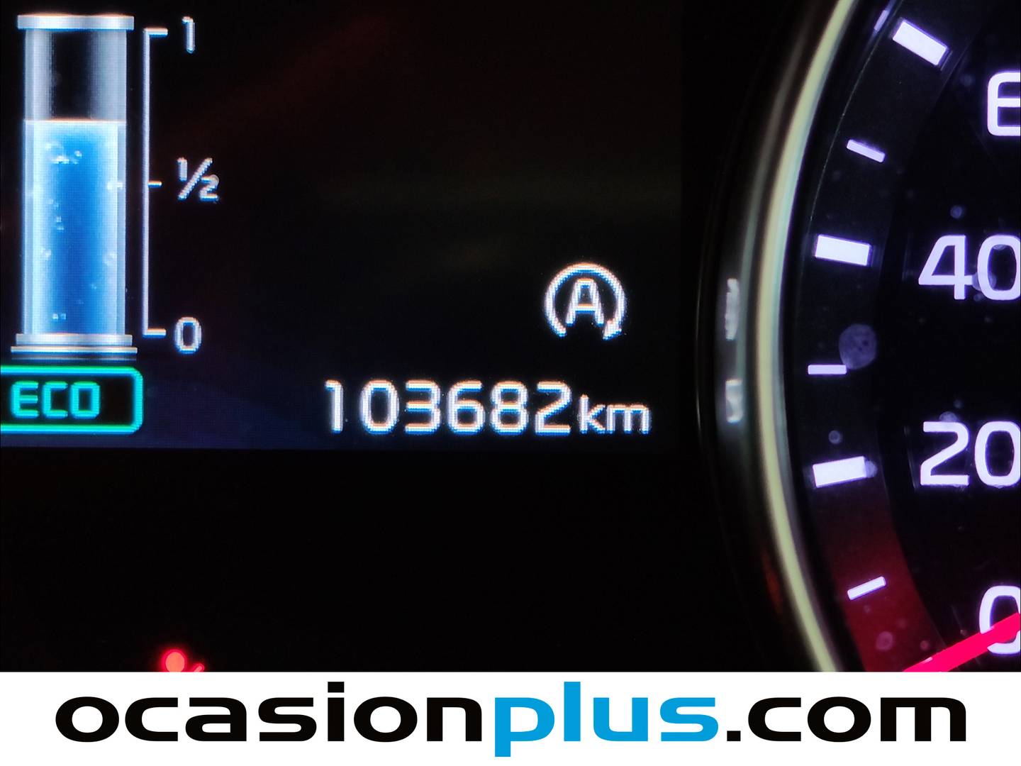 KIA Ceed KIA Ceed 1.6 MHEV iMT Drive (136 CV) 136cv